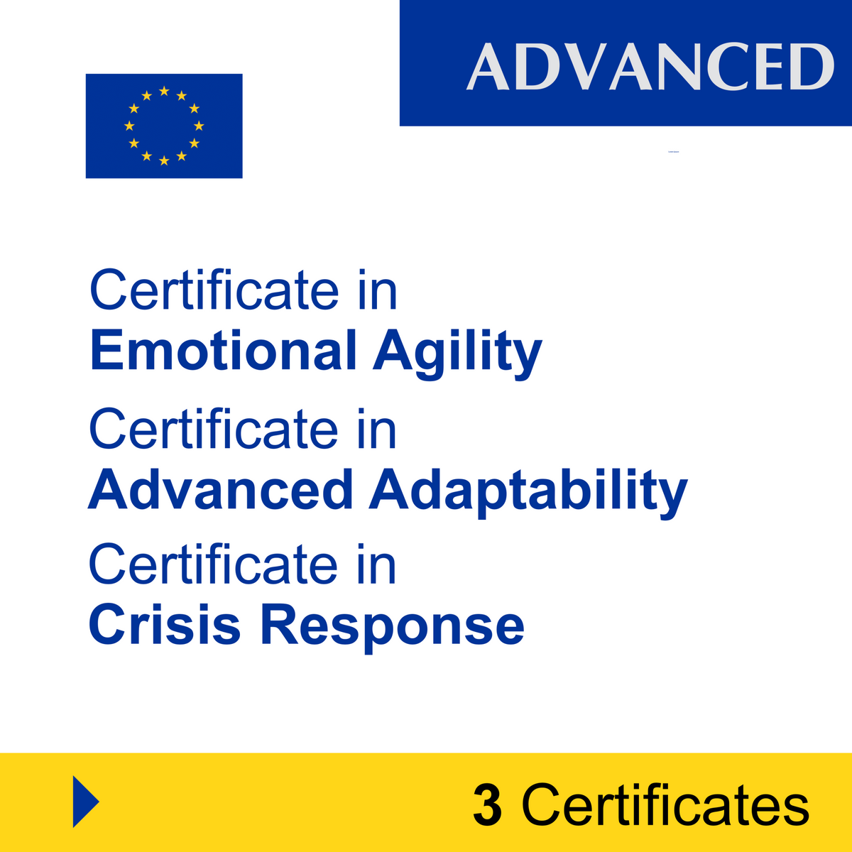 Adaptability & Resilience (3 Certificates) – ADVANCED