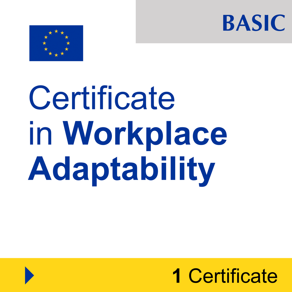 Adaptability & Resilience (1 Certificate) - BASIC