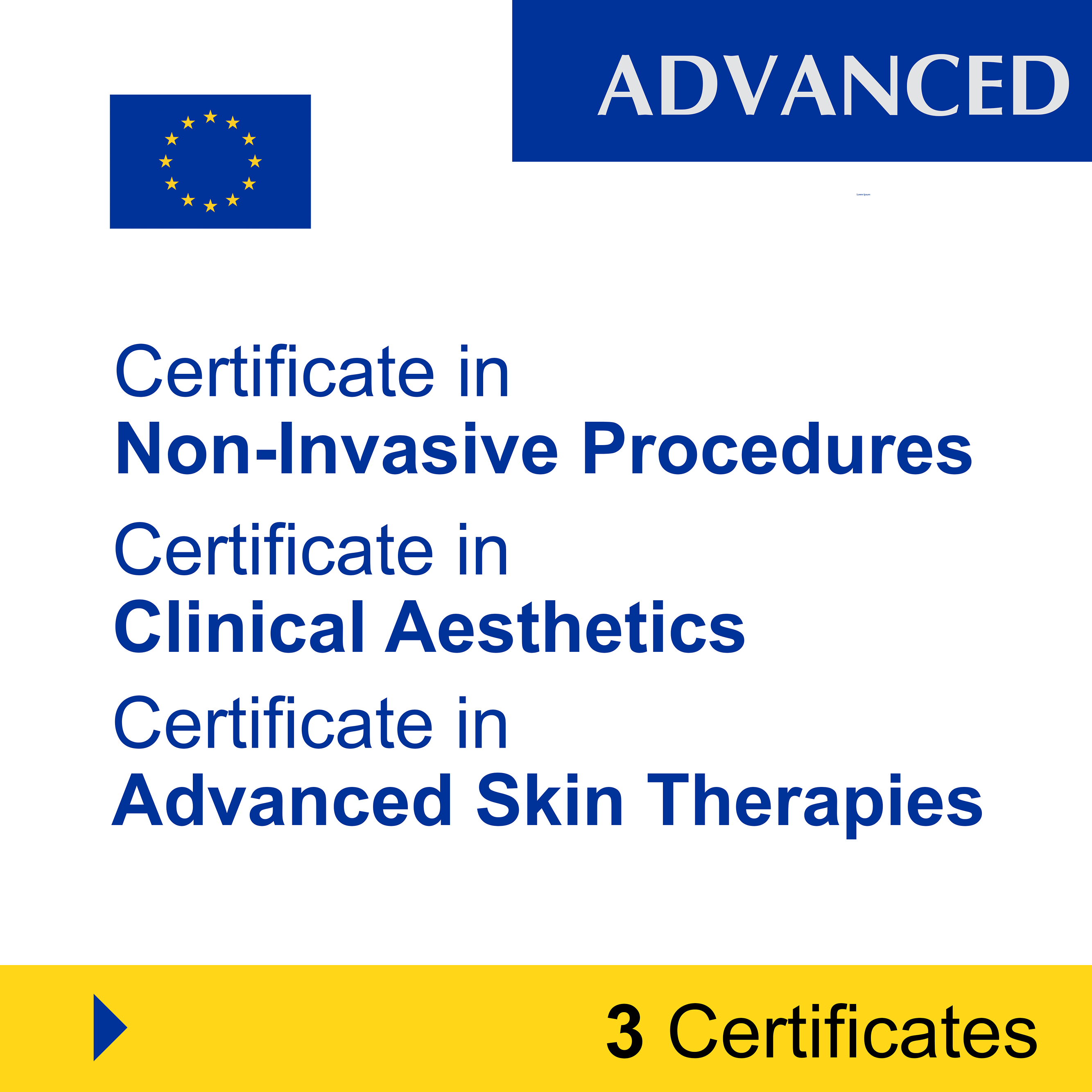 Aesthetics (3 Certificates) – ADVANCED