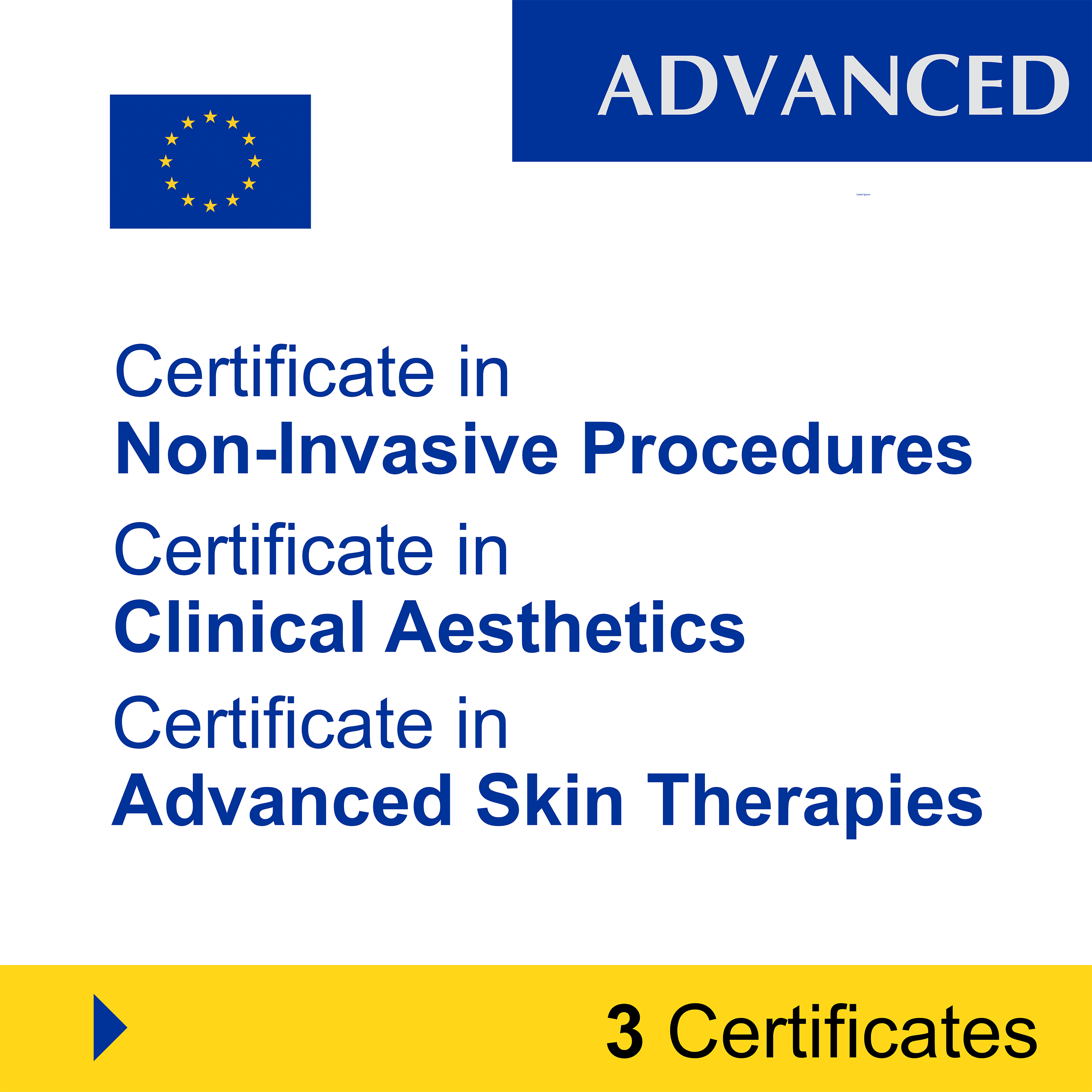 Aesthetics (7 Certificates) - FULL BUNDLE