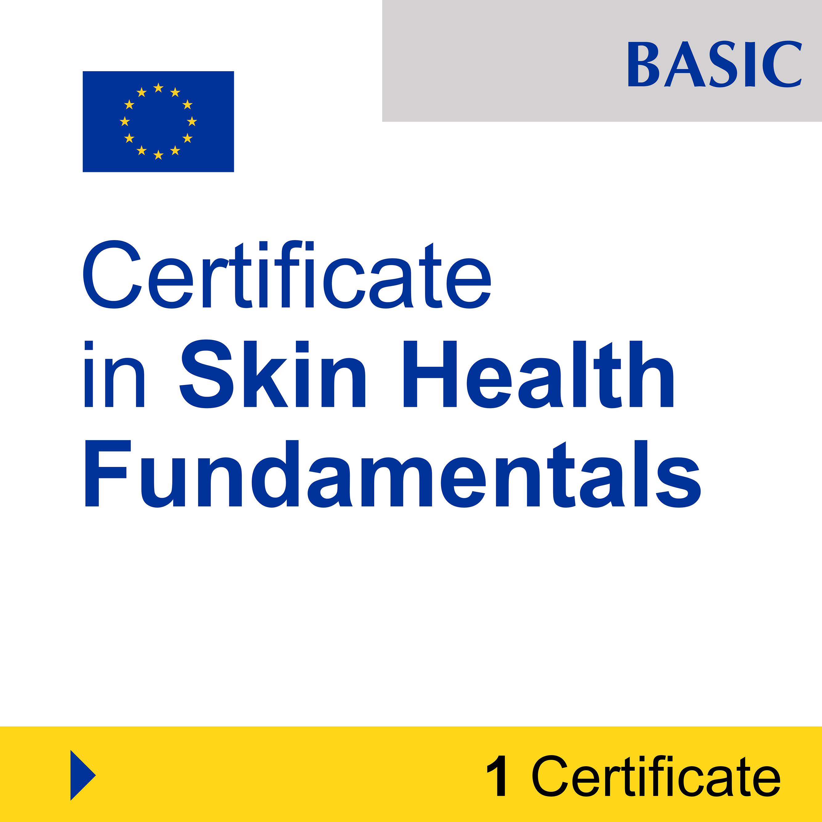 Aesthetics (1 Certificate) - BASIC