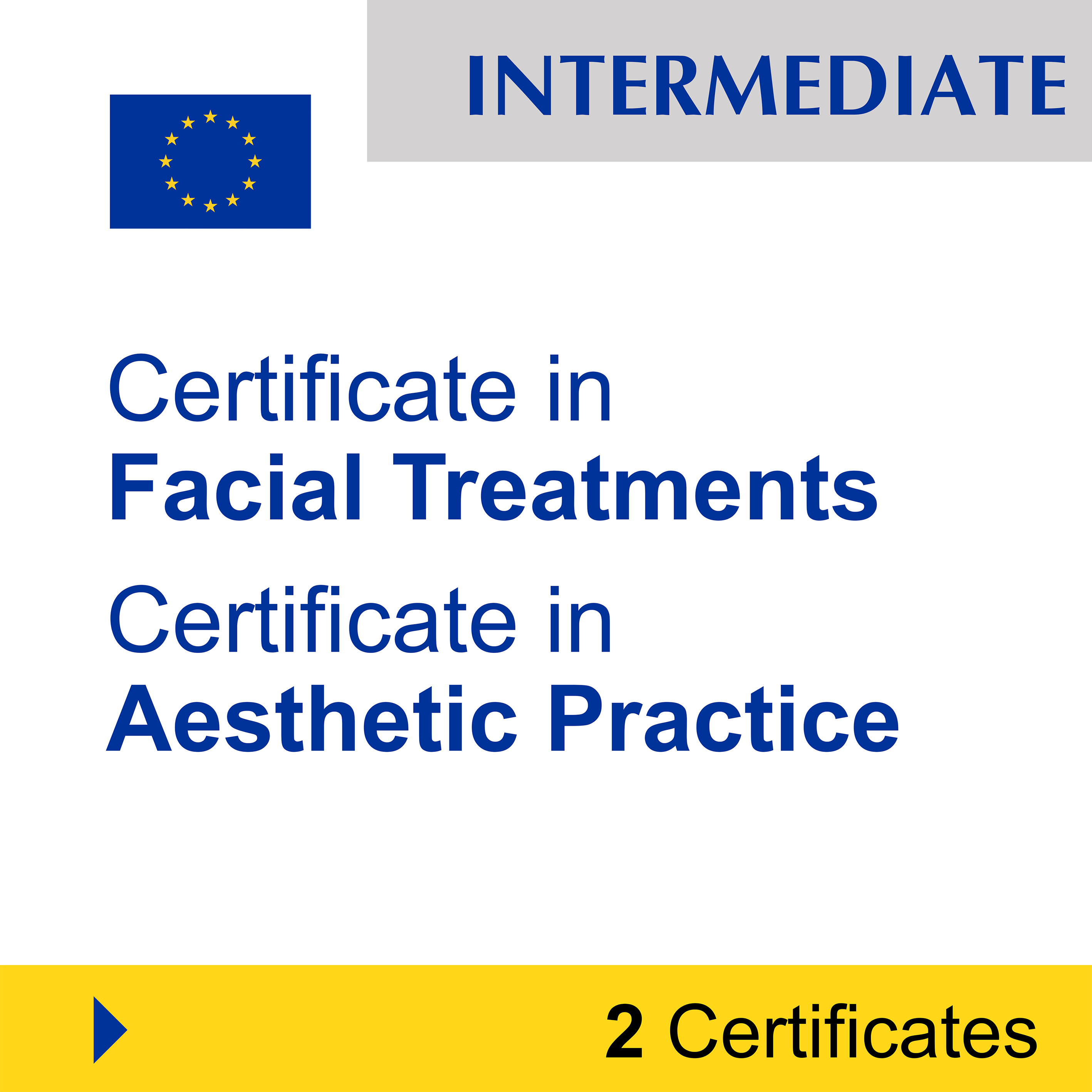 Aesthetics (7 Certificates) - FULL BUNDLE