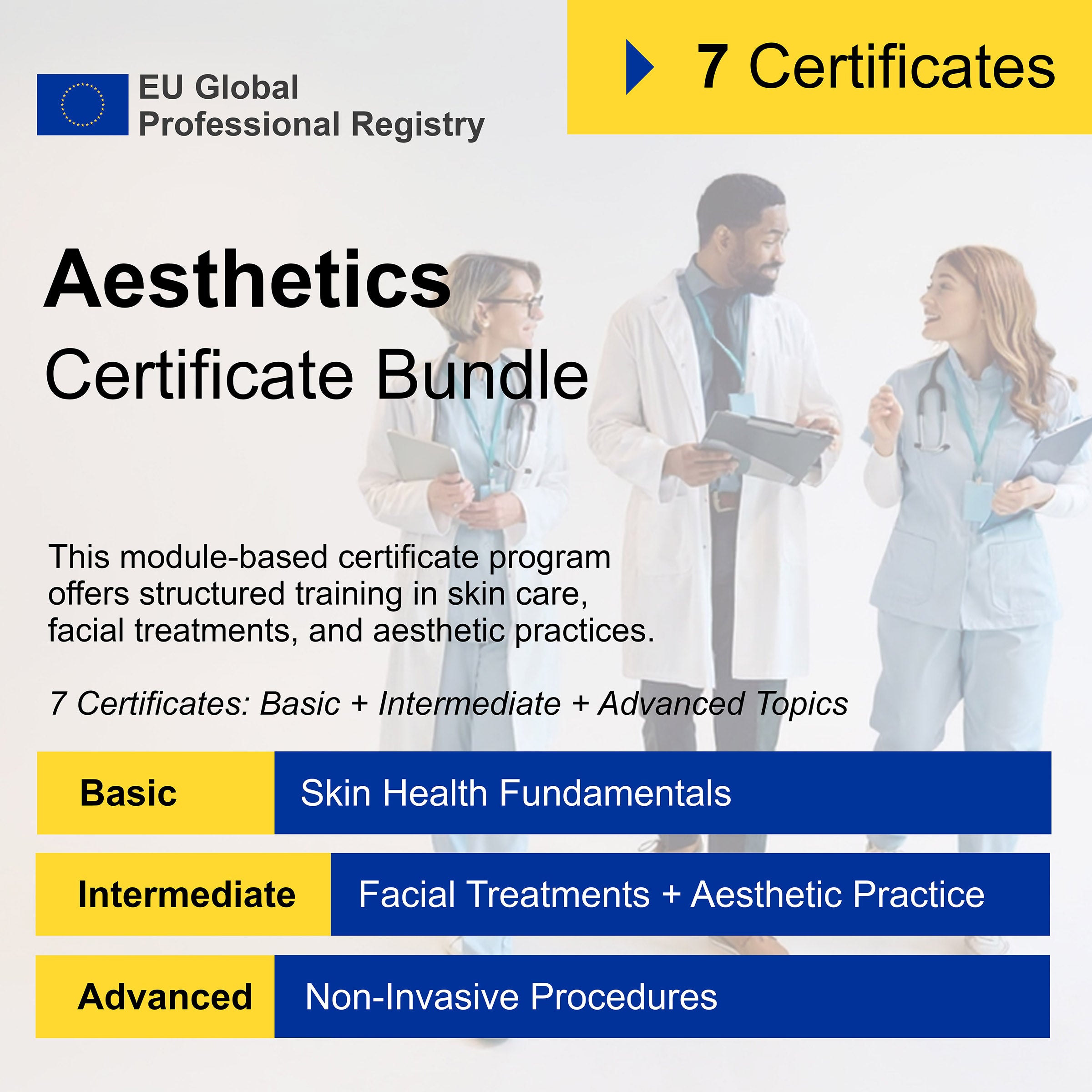 Aesthetics (7 Certificates) - FULL BUNDLE