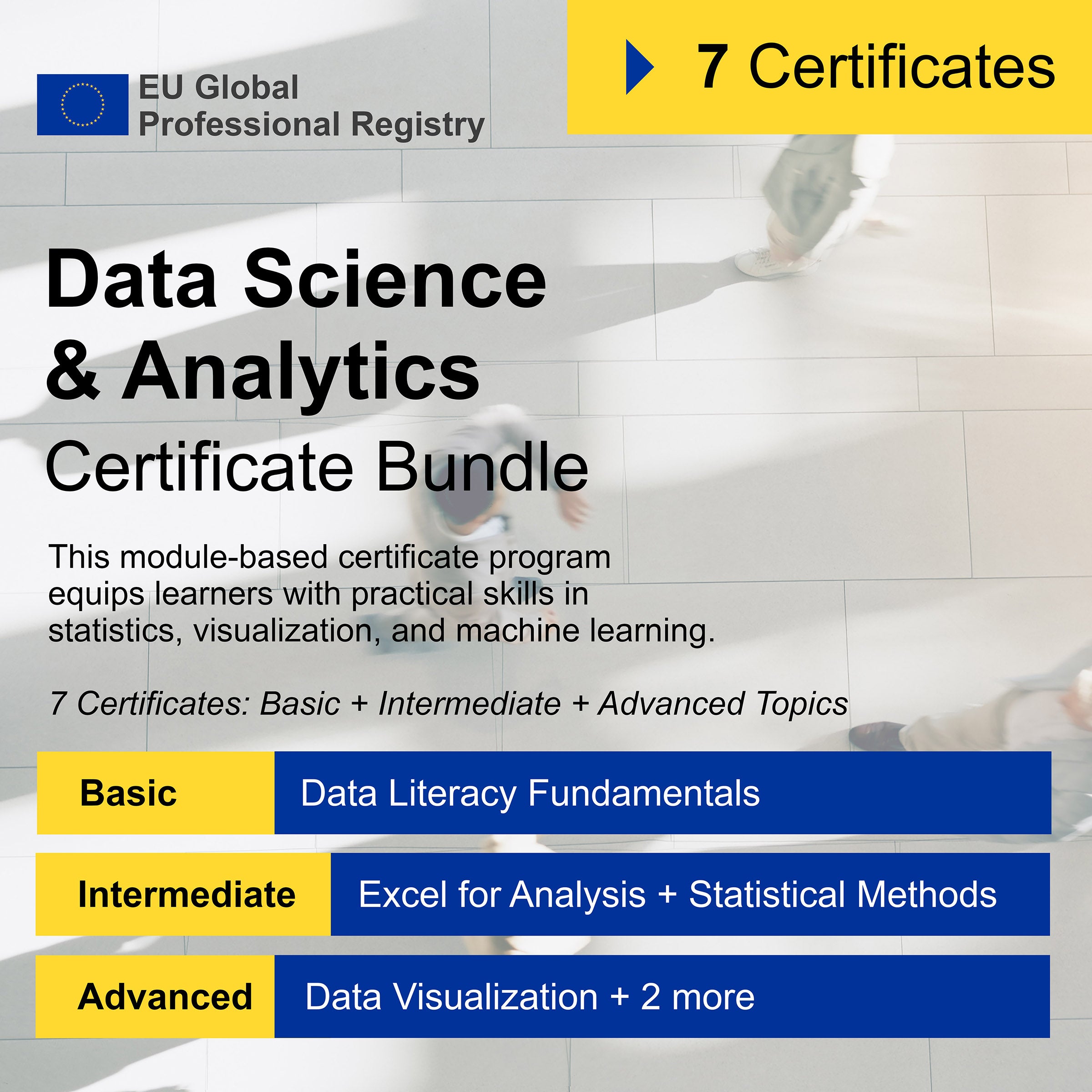 Data Science & Analytics (7 Certificates) - FULL BUNDLE