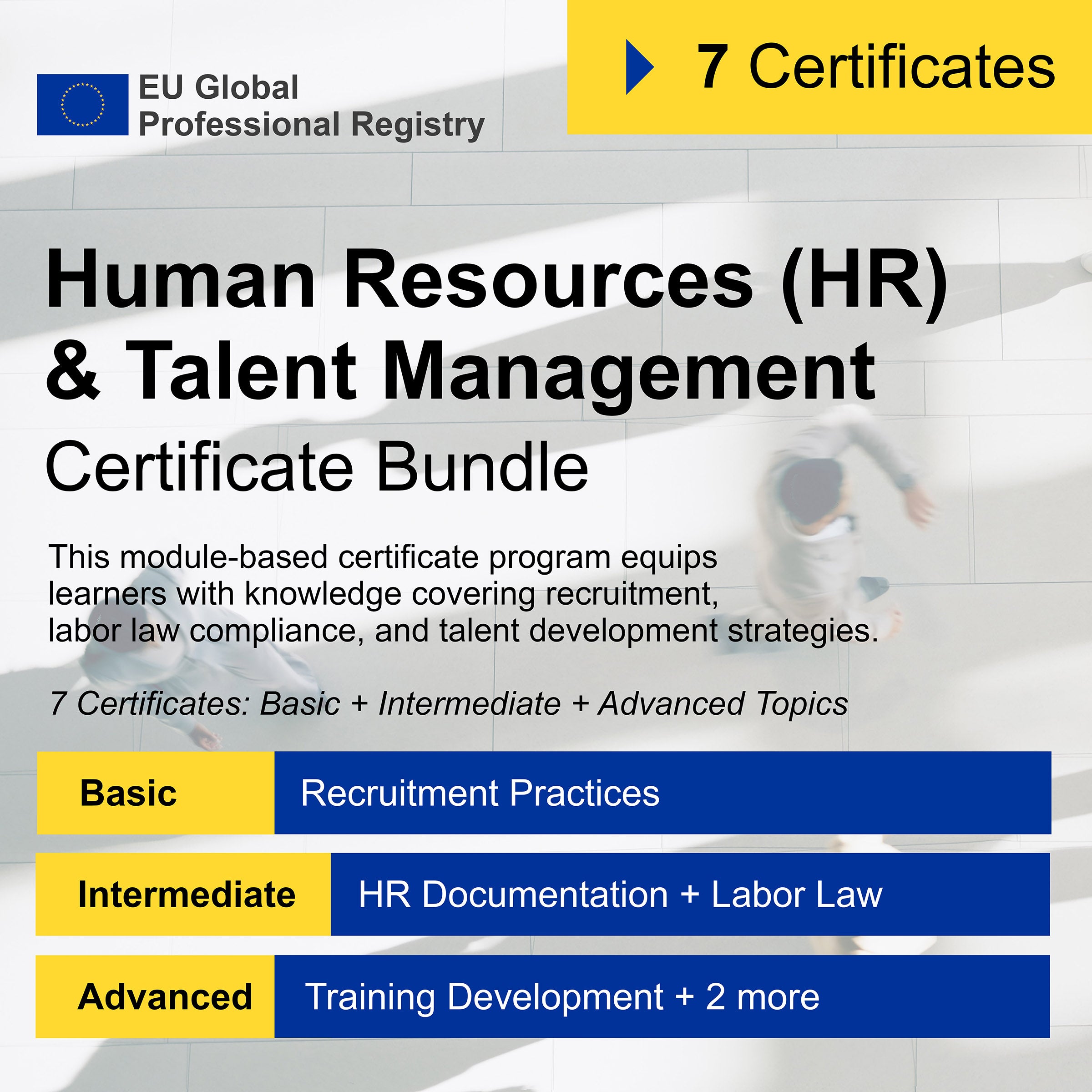 Human Resources (HR) & Talent Management (7 Certificates) - FULL BUNDLE