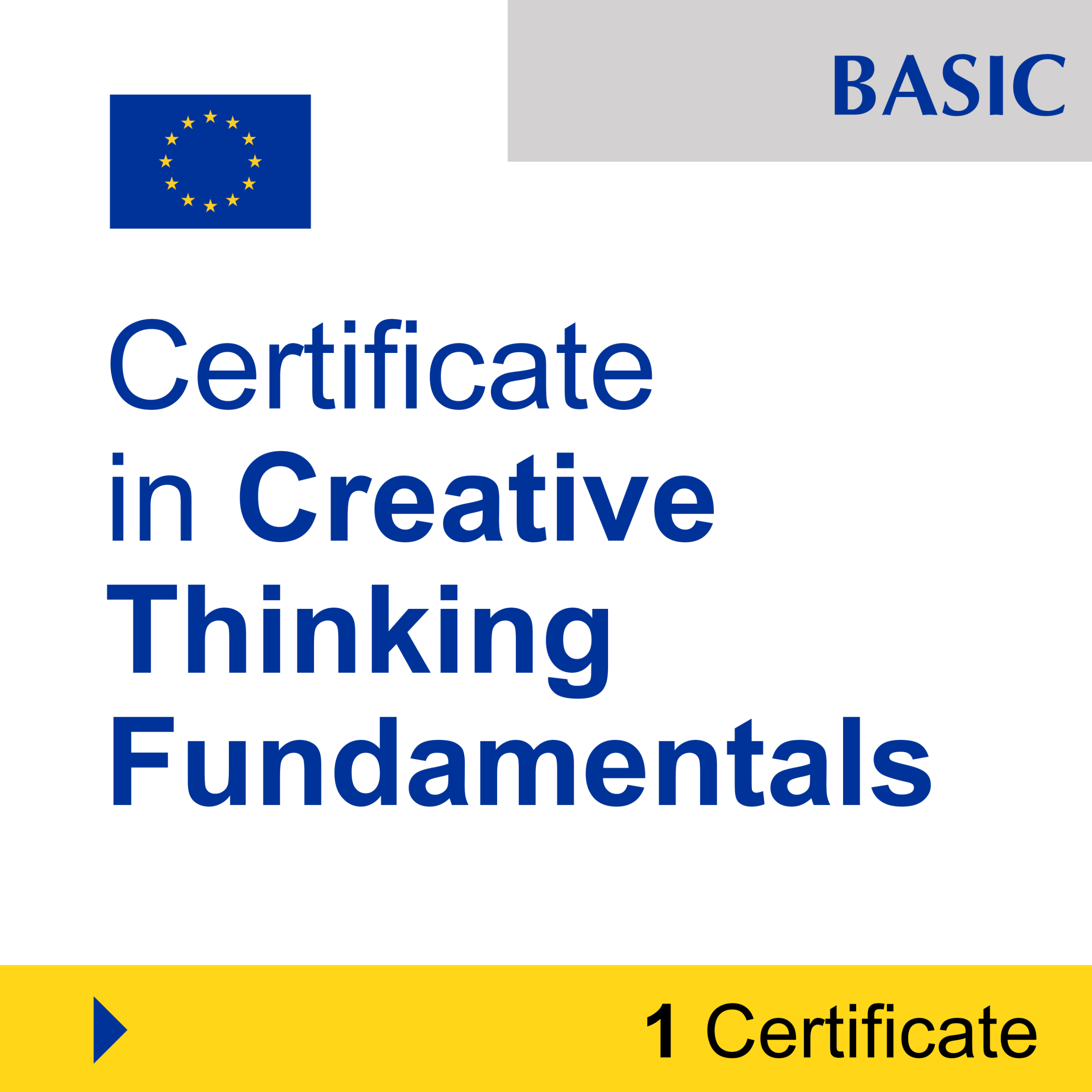 Creativity & Innovation (1 Certificate) - BASIC