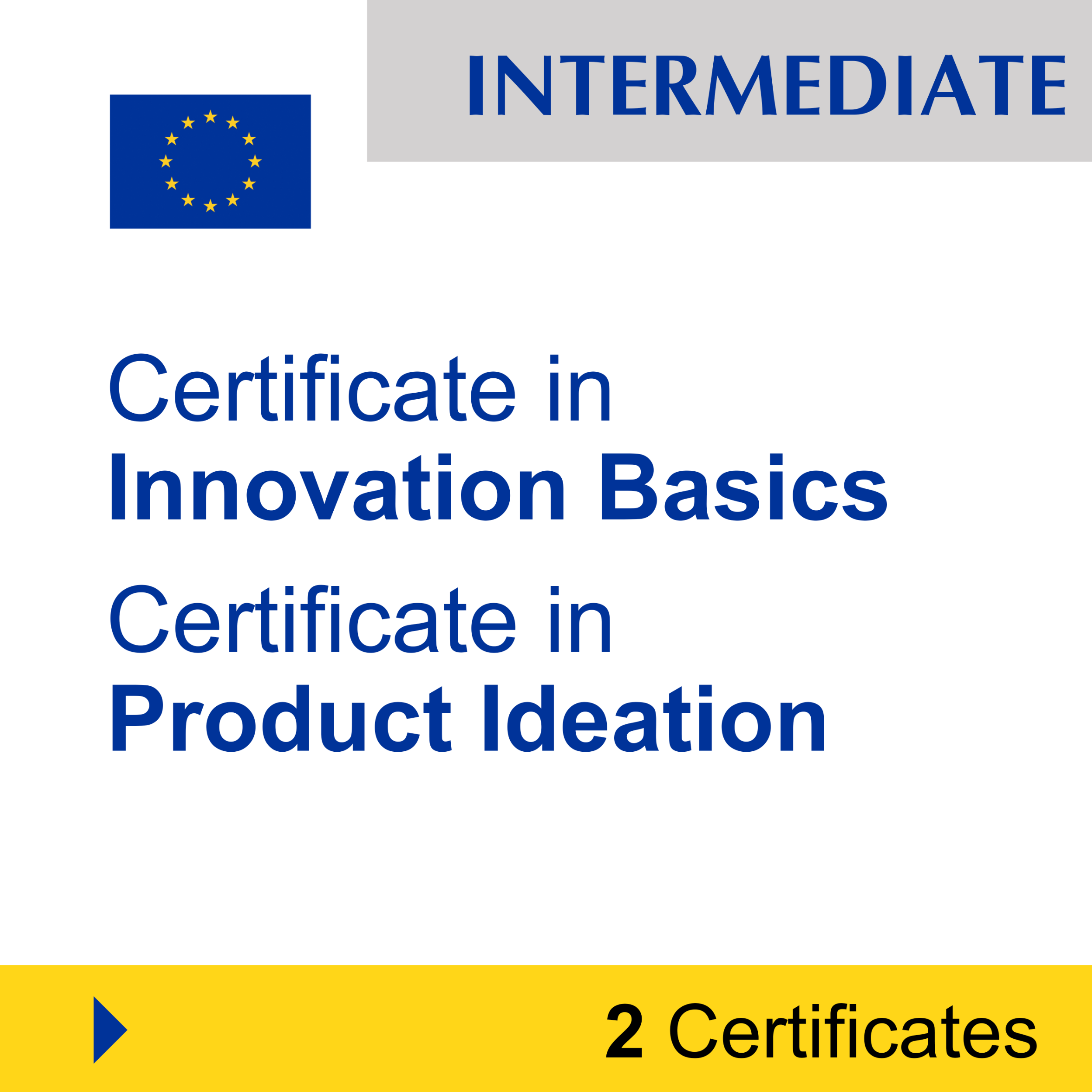 Creativity & Innovation (2 Certificates) - INTERMEDIATE