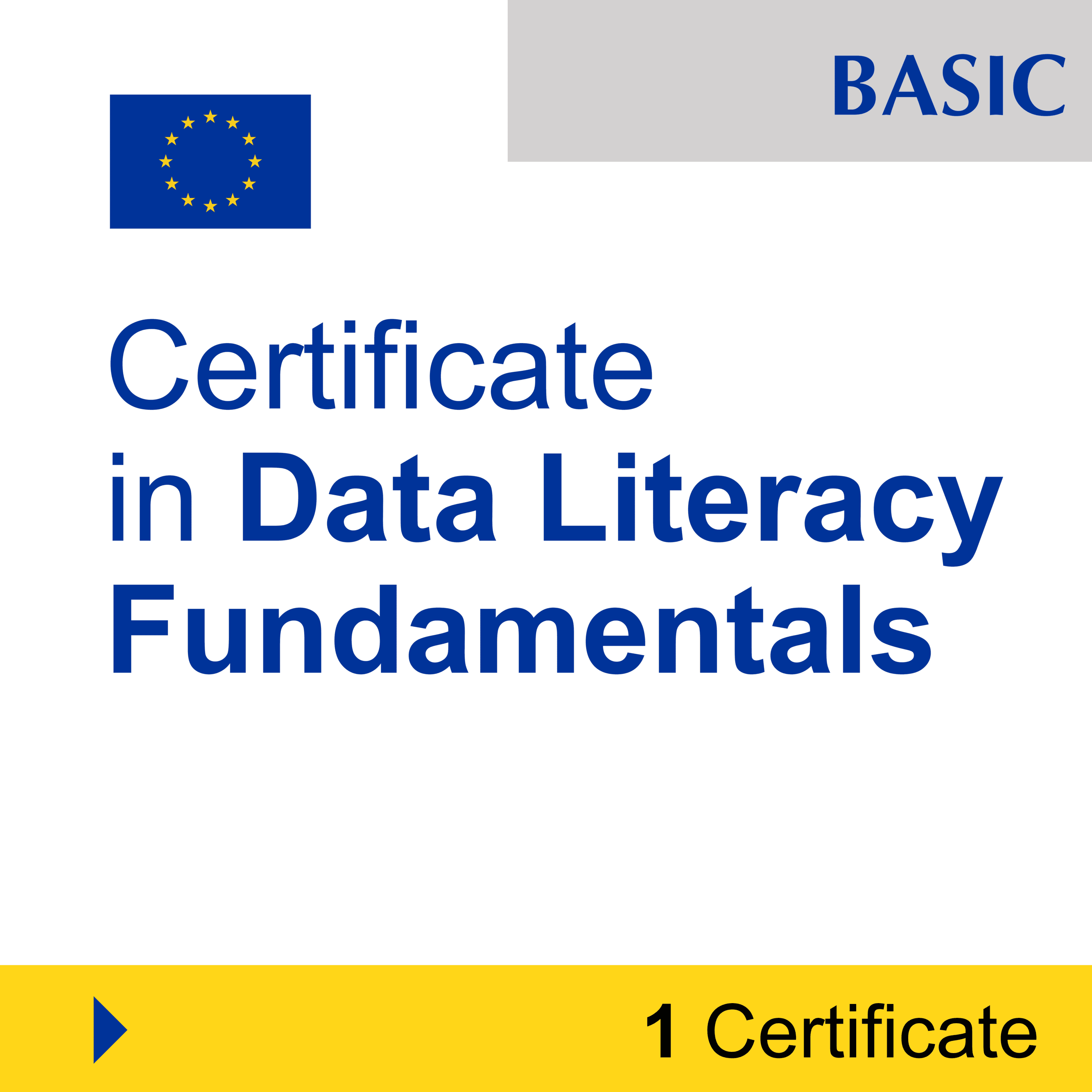 Data Science & Analytics (1 Certificate) - BASIC