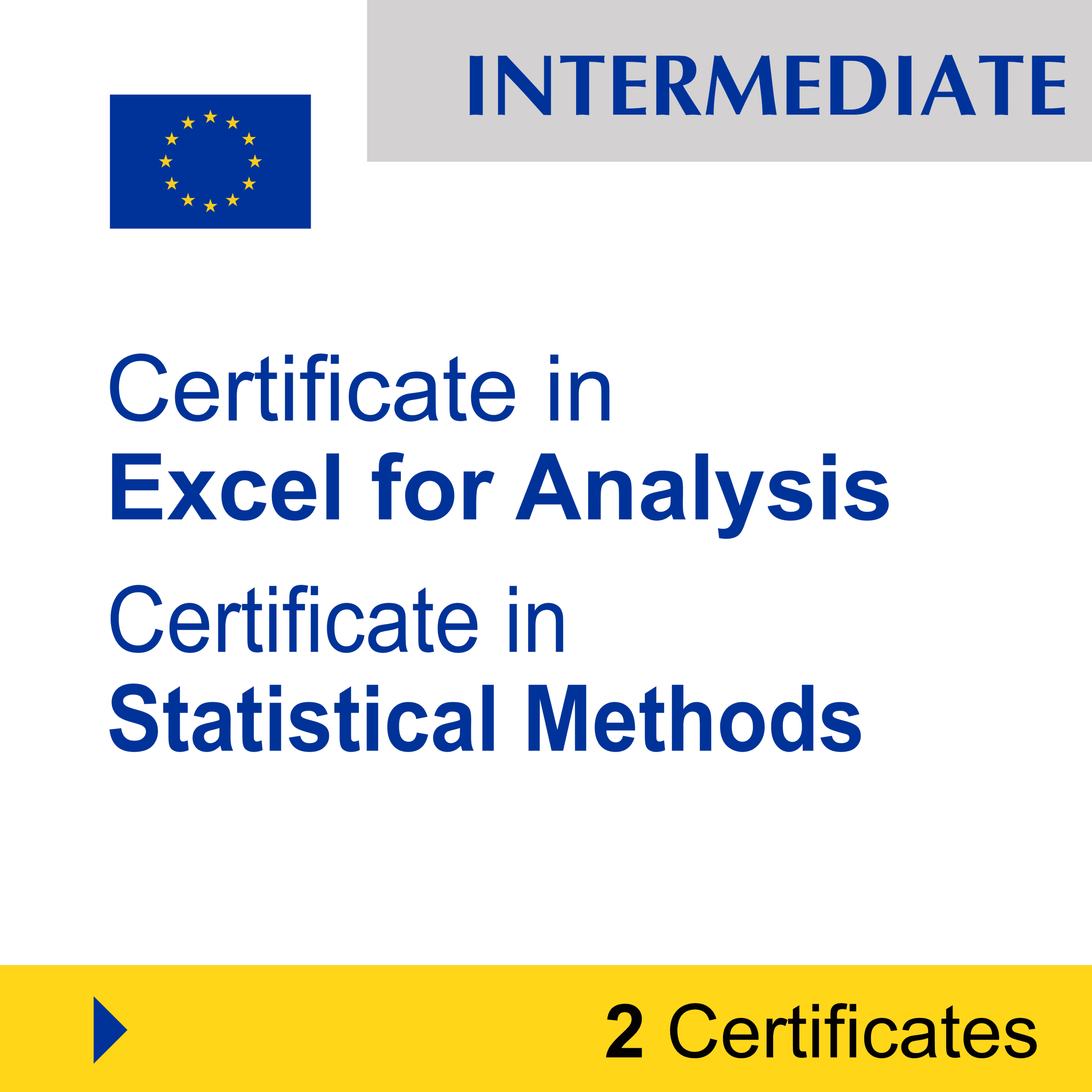 Data Science & Analytics (2 Certificates) - INTERMEDIATE