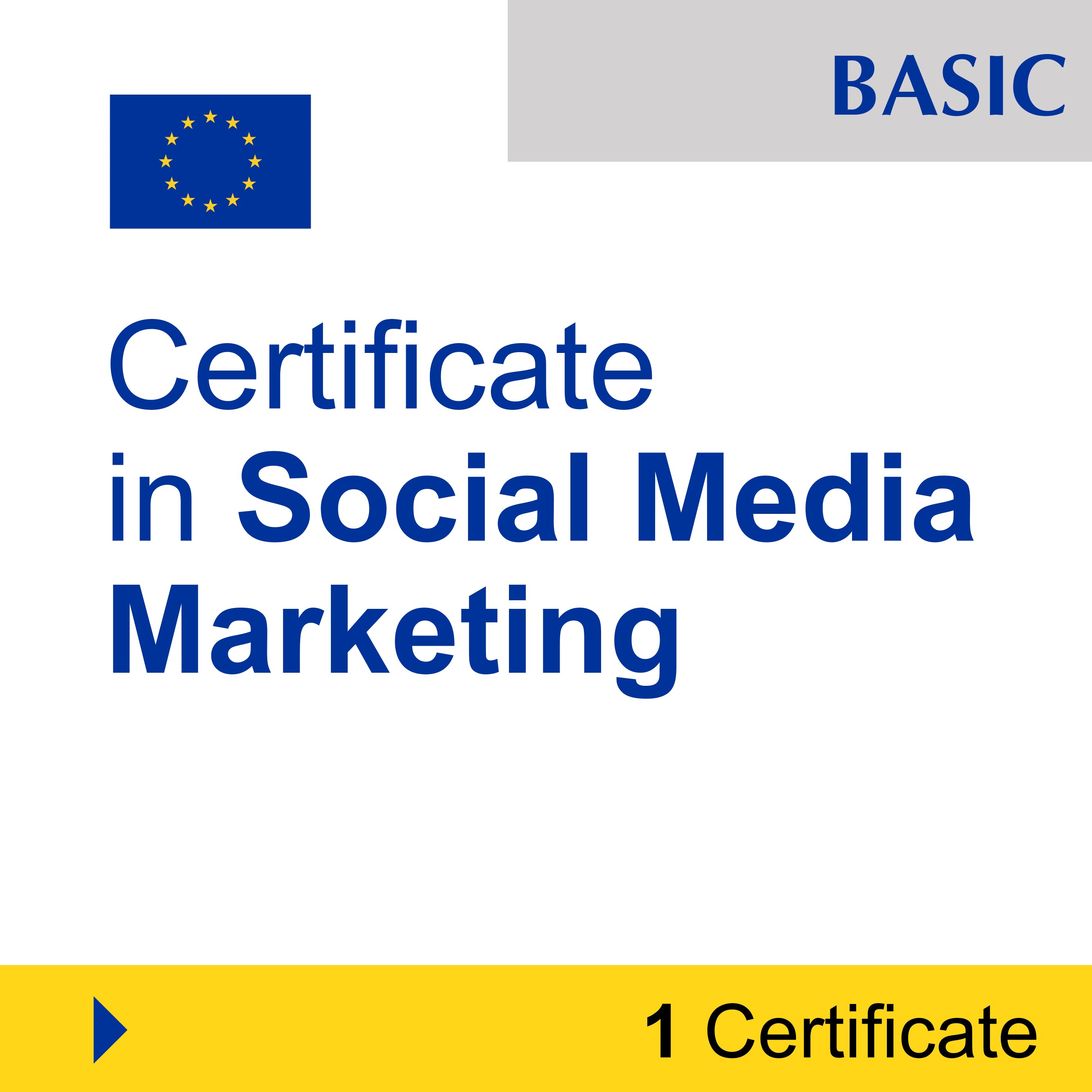 Digital Marketing (1 Certificate) - BASIC