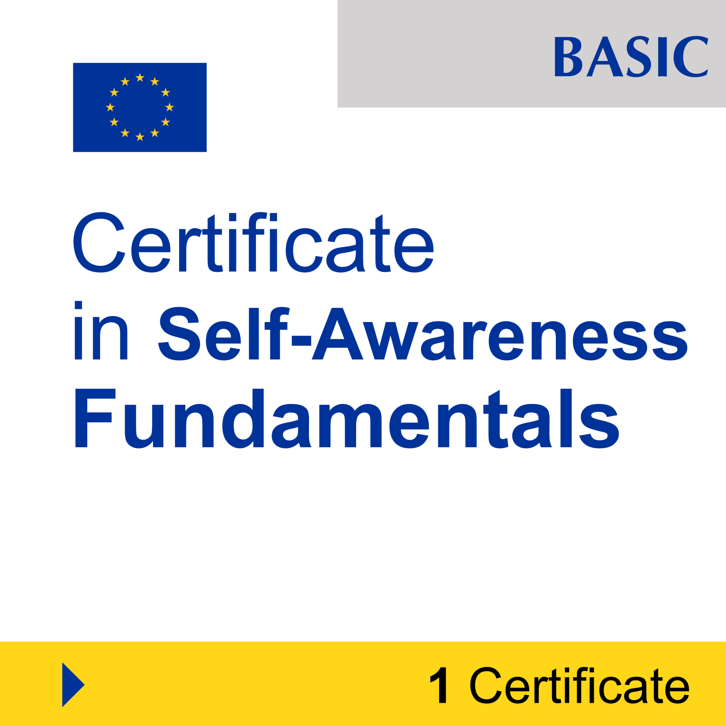 Emotional Intelligence (EQ) (1 Certificate) - BASIC