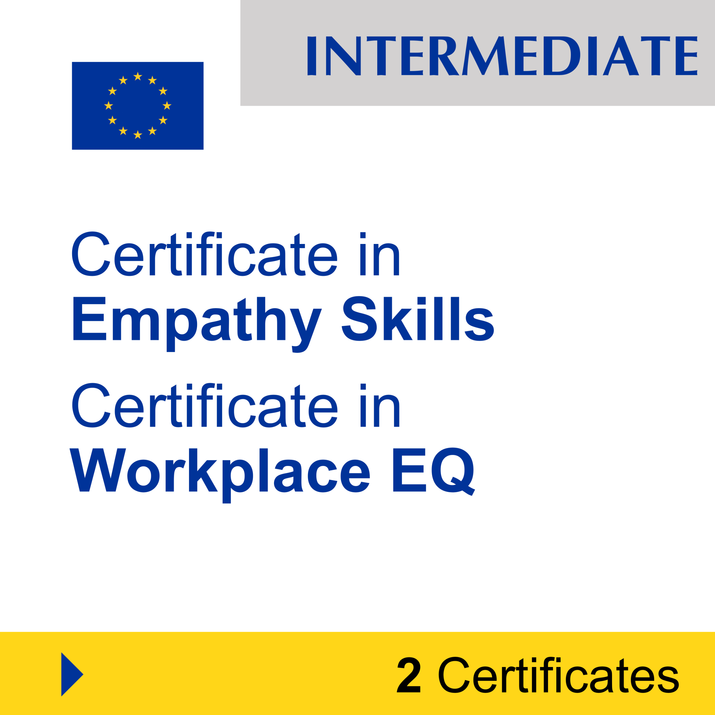 Emotional Intelligence (EQ) (2 Certificates) - INTERMEDIATE