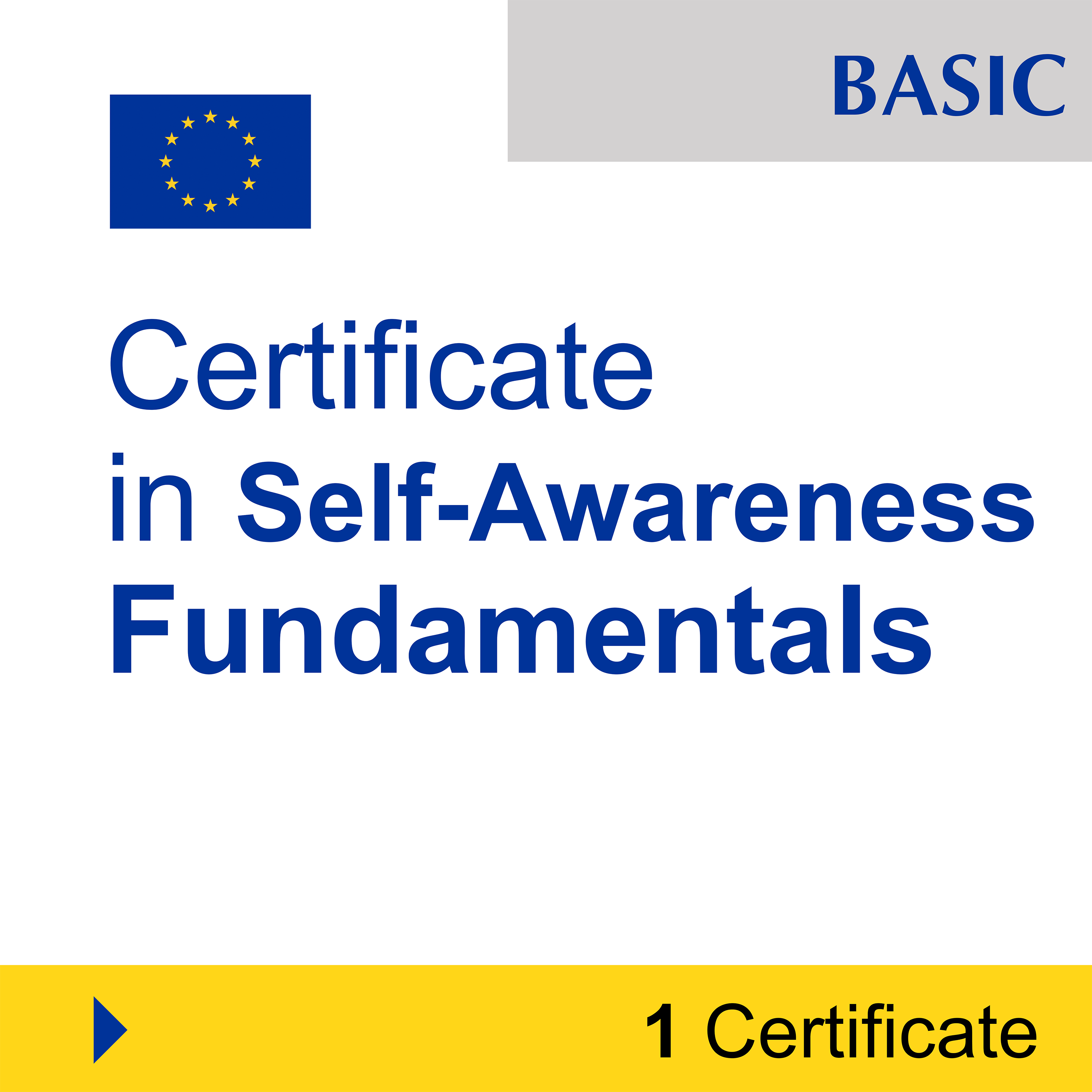 Emotional Intelligence (7 Certificates) - FULL BUNDLE