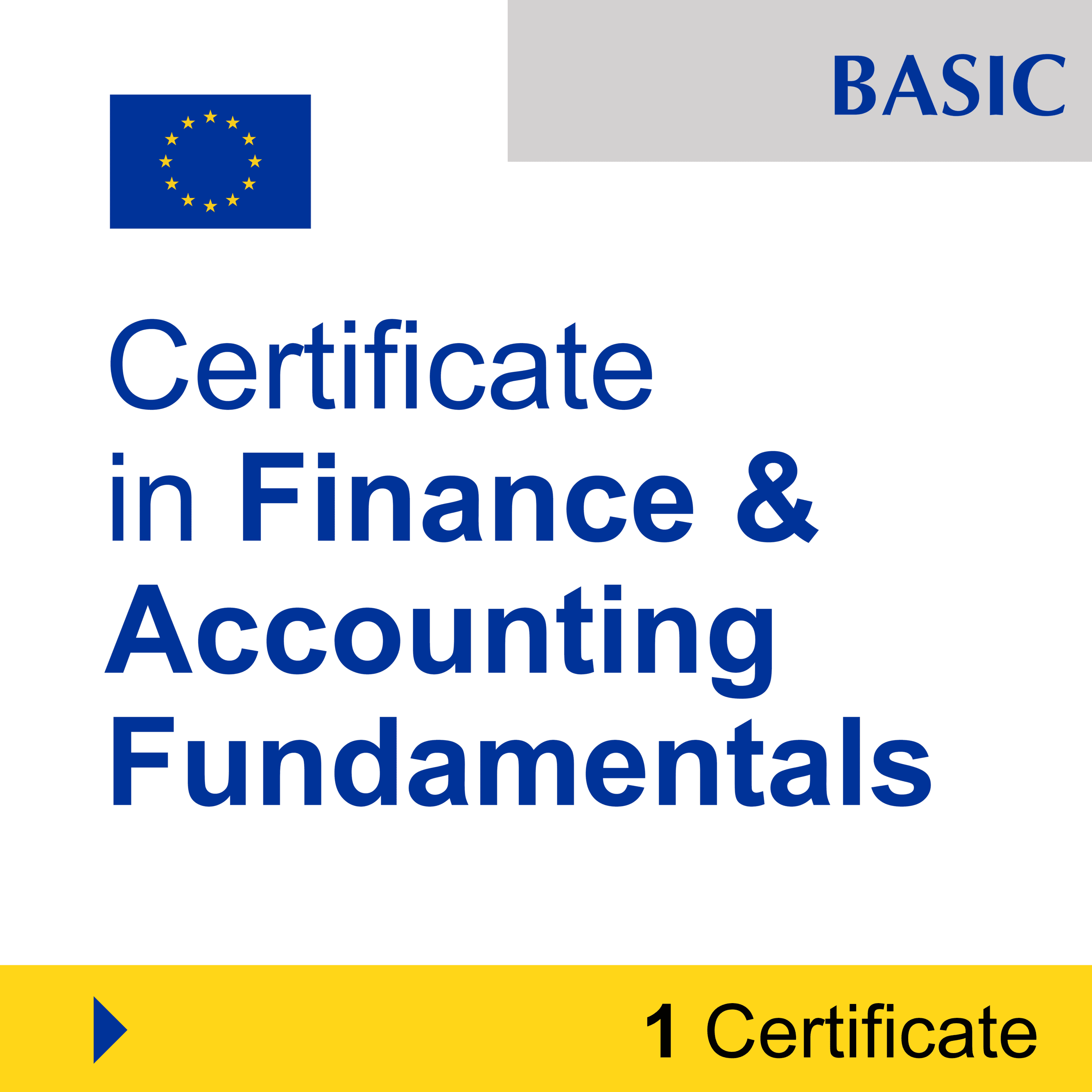 Finance & Accounting (1 Certificate) - BASIC