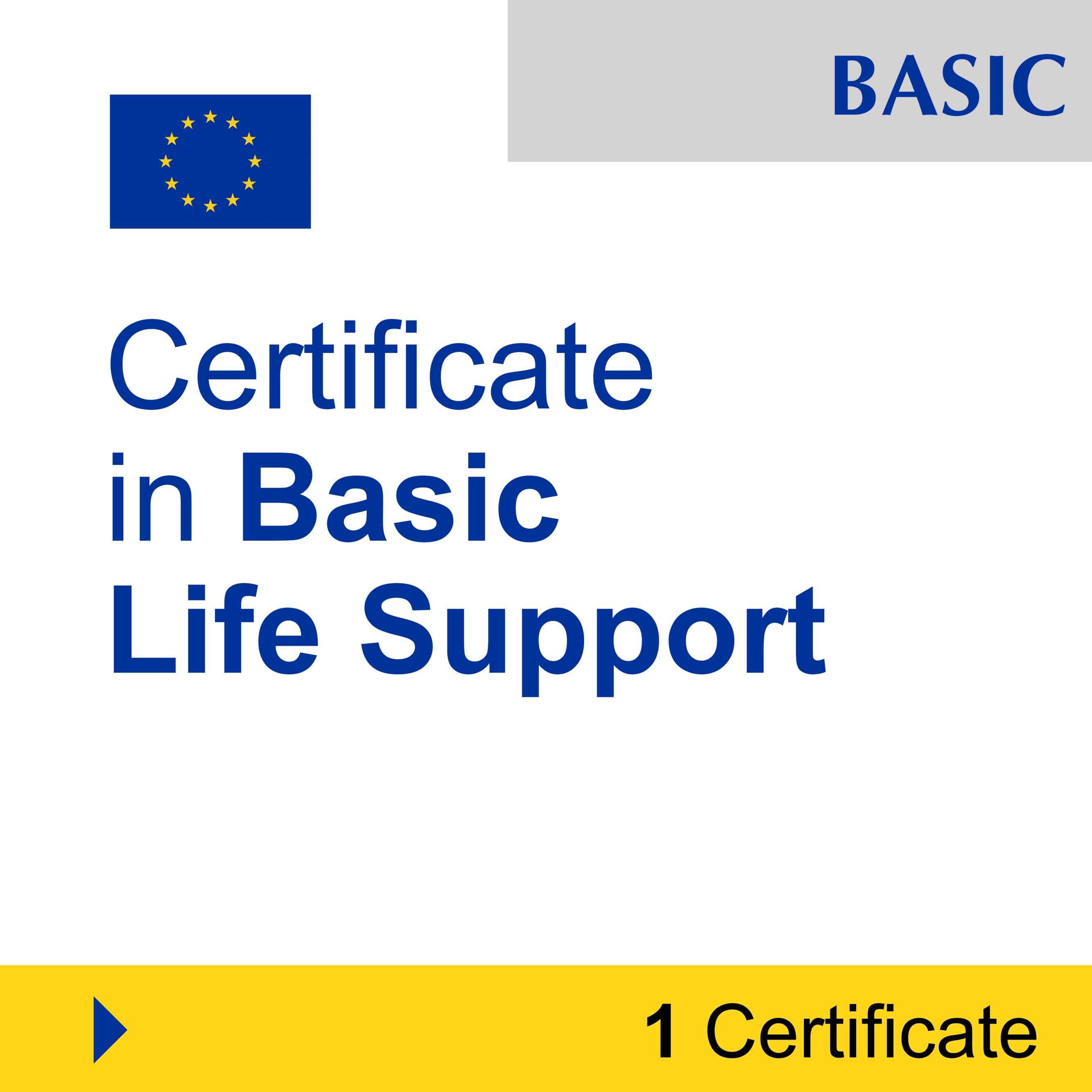 Healthcare & Nursing (1 Certificate) - BASIC