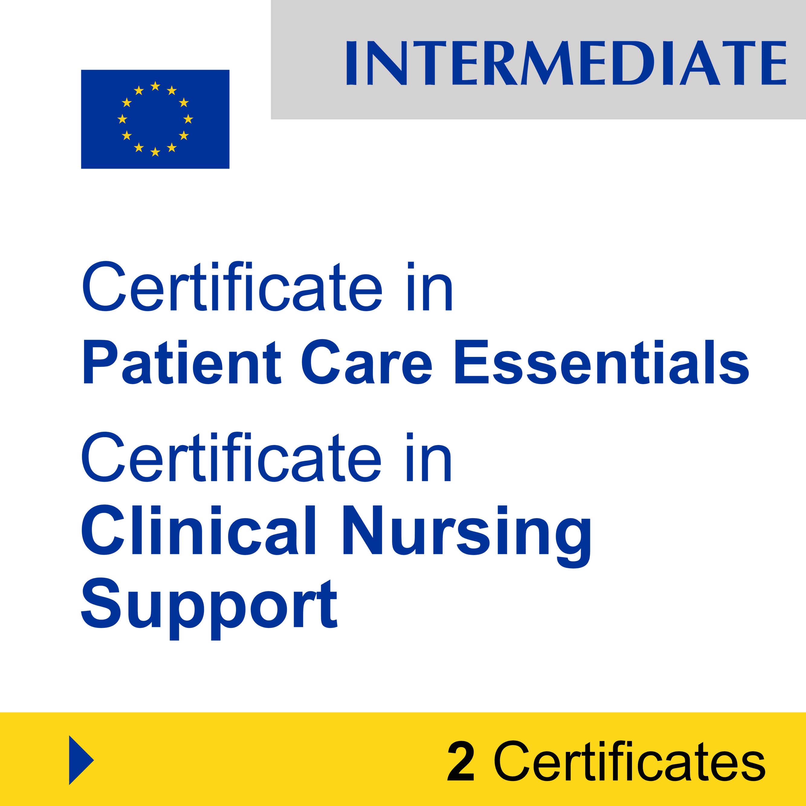 Healthcare & Nursing (2 Certificates) - INTERMEDIATE