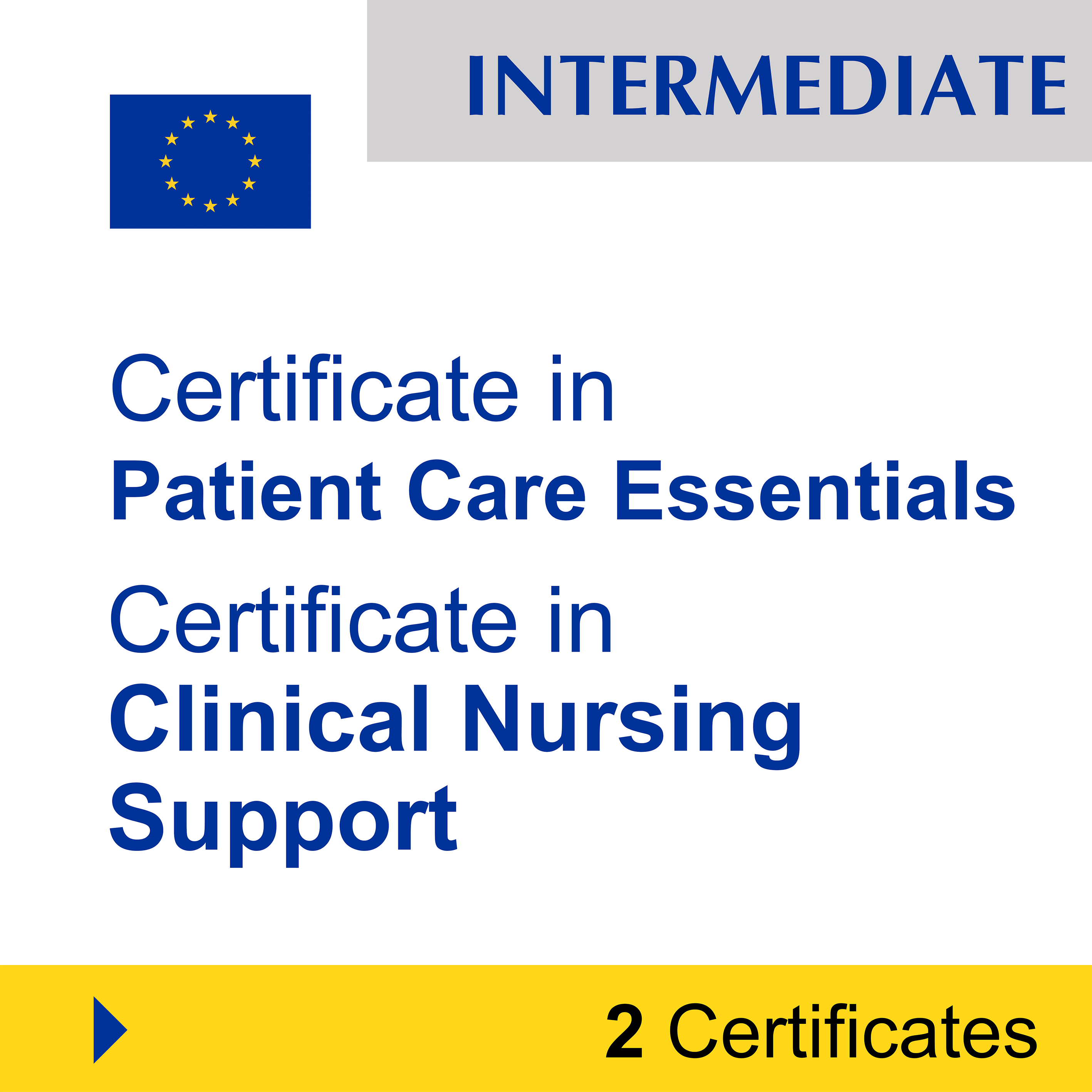 Healthcare & Nursing (7 Certificates) - FULL BUNDLE