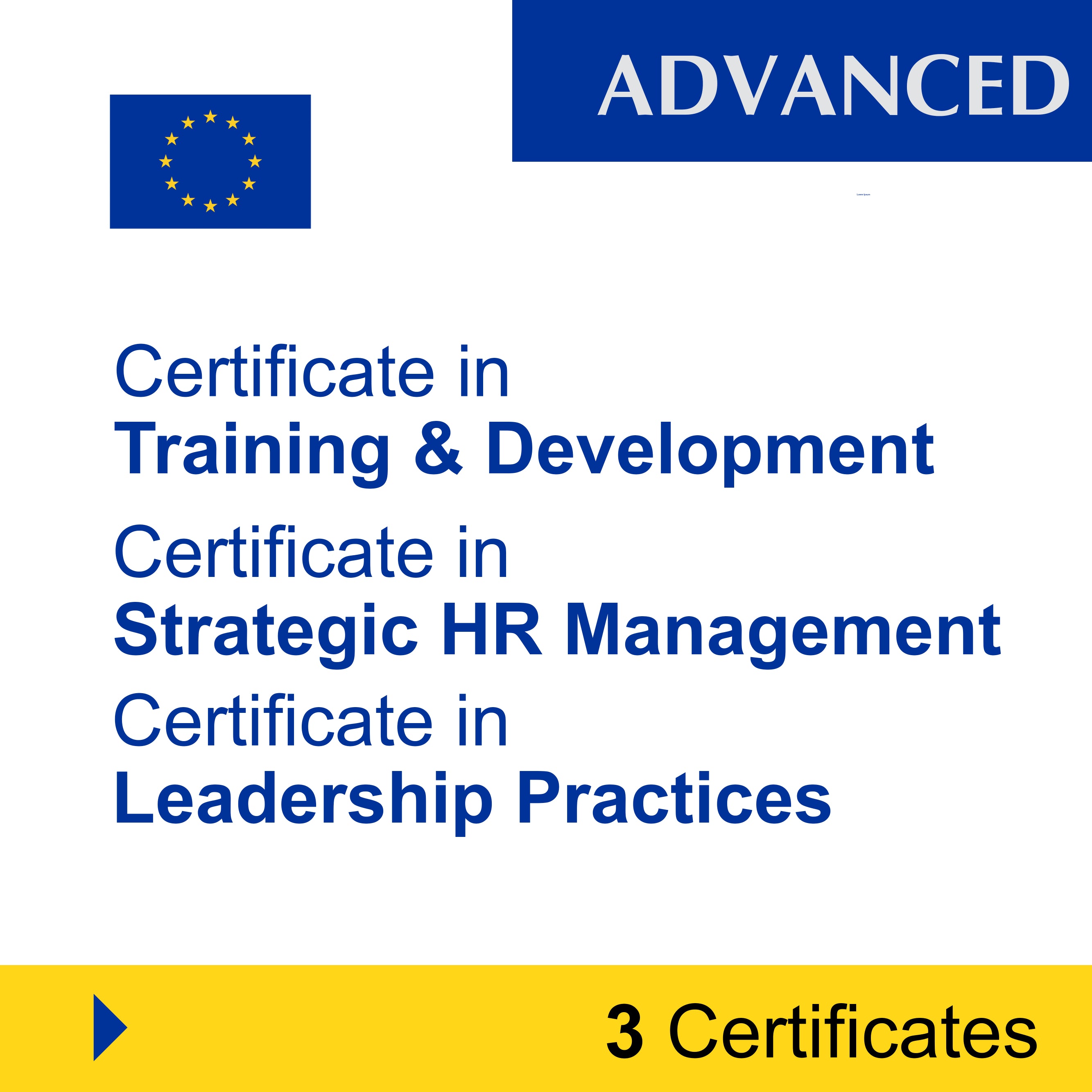 Human Resources (HR) & Talent Management (3 Certificates) – ADVANCED
