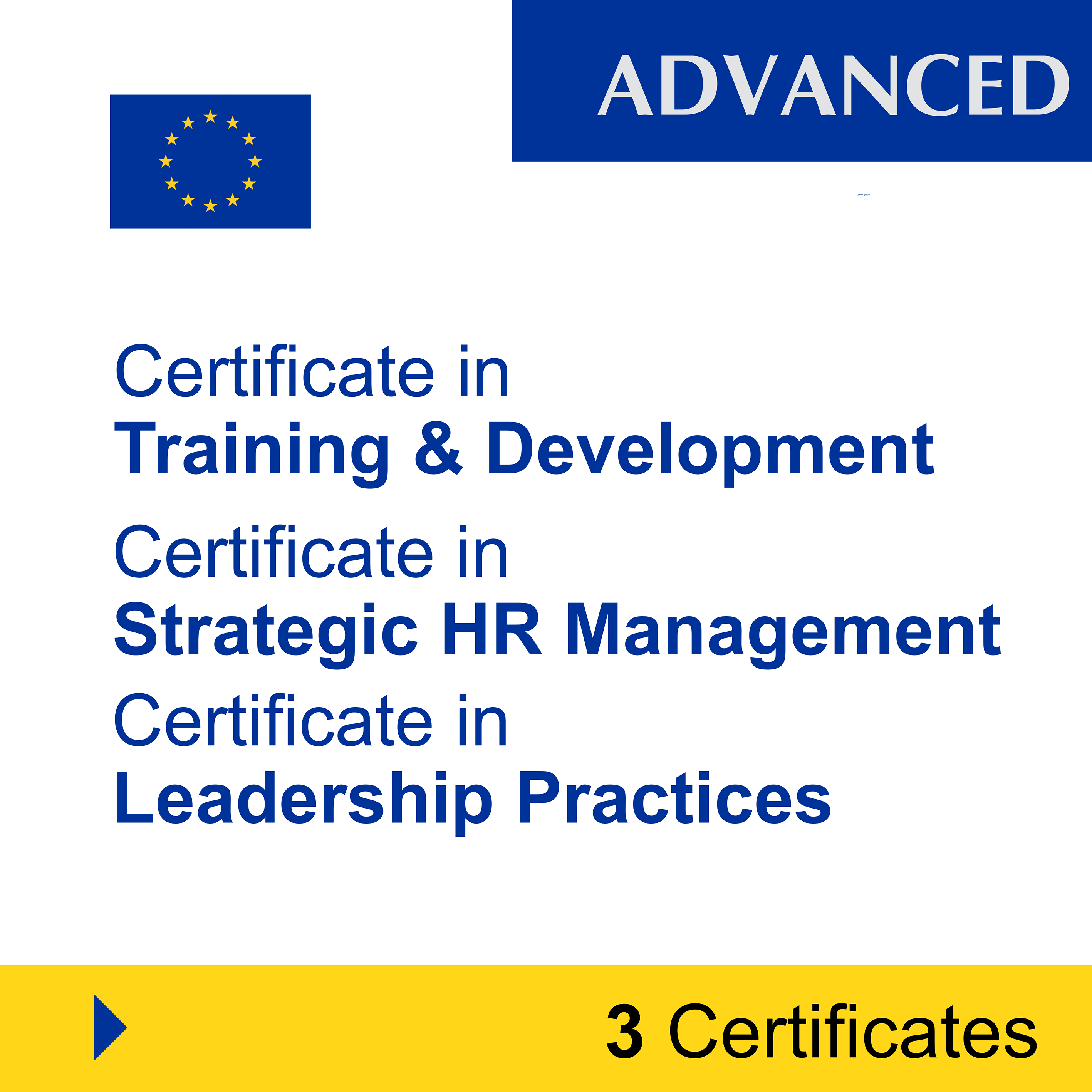 Human Resources (HR) & Talent Management (7 Certificates) - FULL BUNDLE