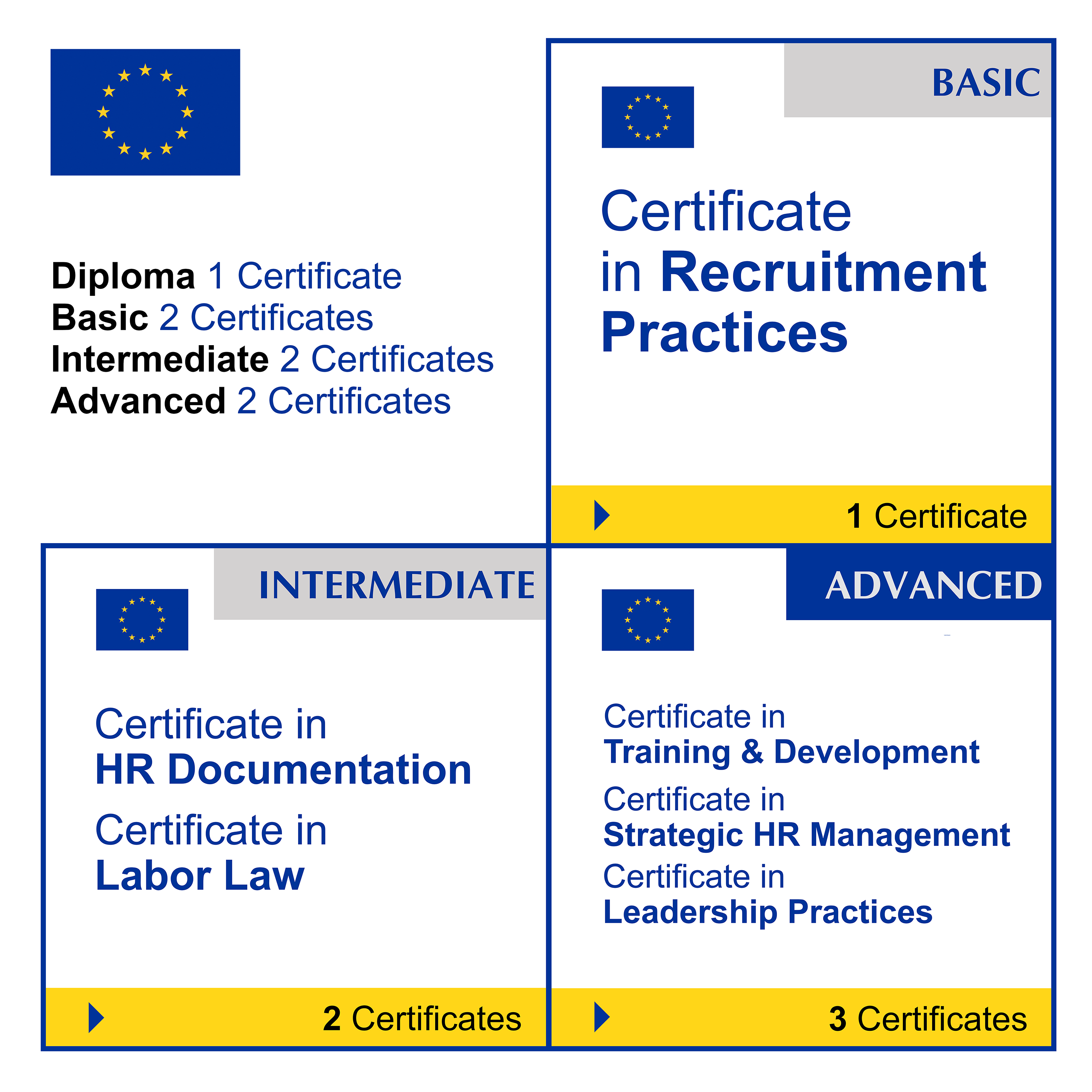 Human Resources (HR) & Talent Management (7 Certificates) - FULL BUNDLE