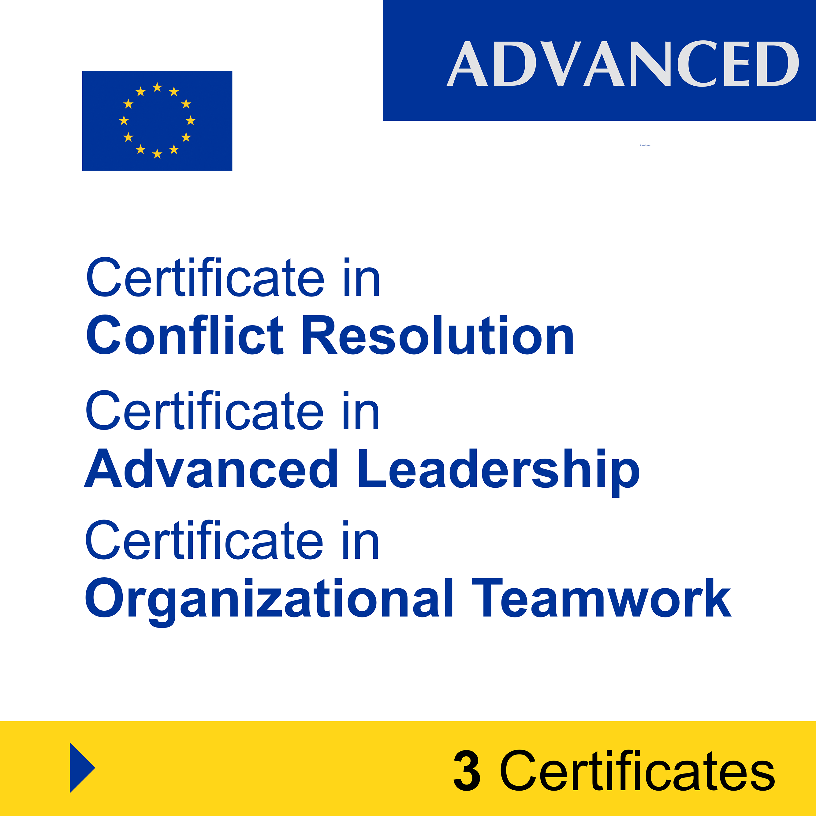 Leadership & Teamwork (3 Certificates) – ADVANCED