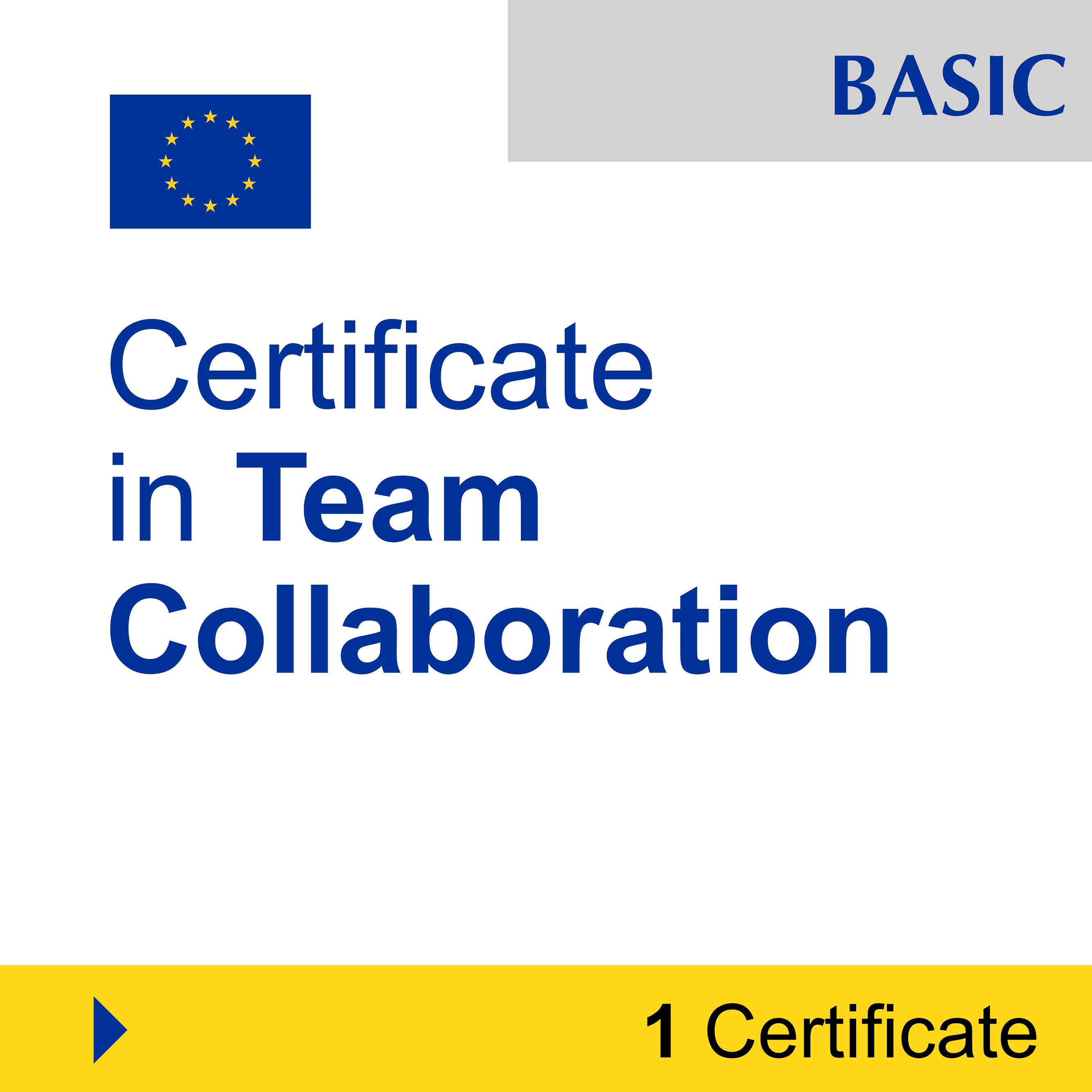 Leadership & Teamwork (1 Certificate) - BASIC