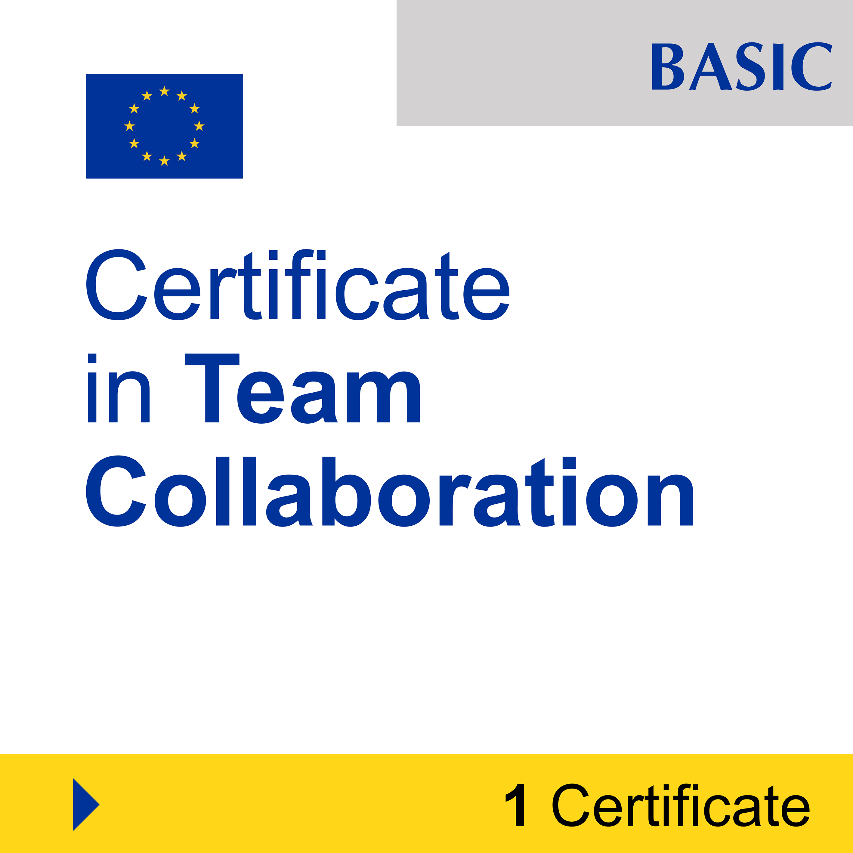 Leadership & Teamwork (7 Certificates) - FULL BUNDLE