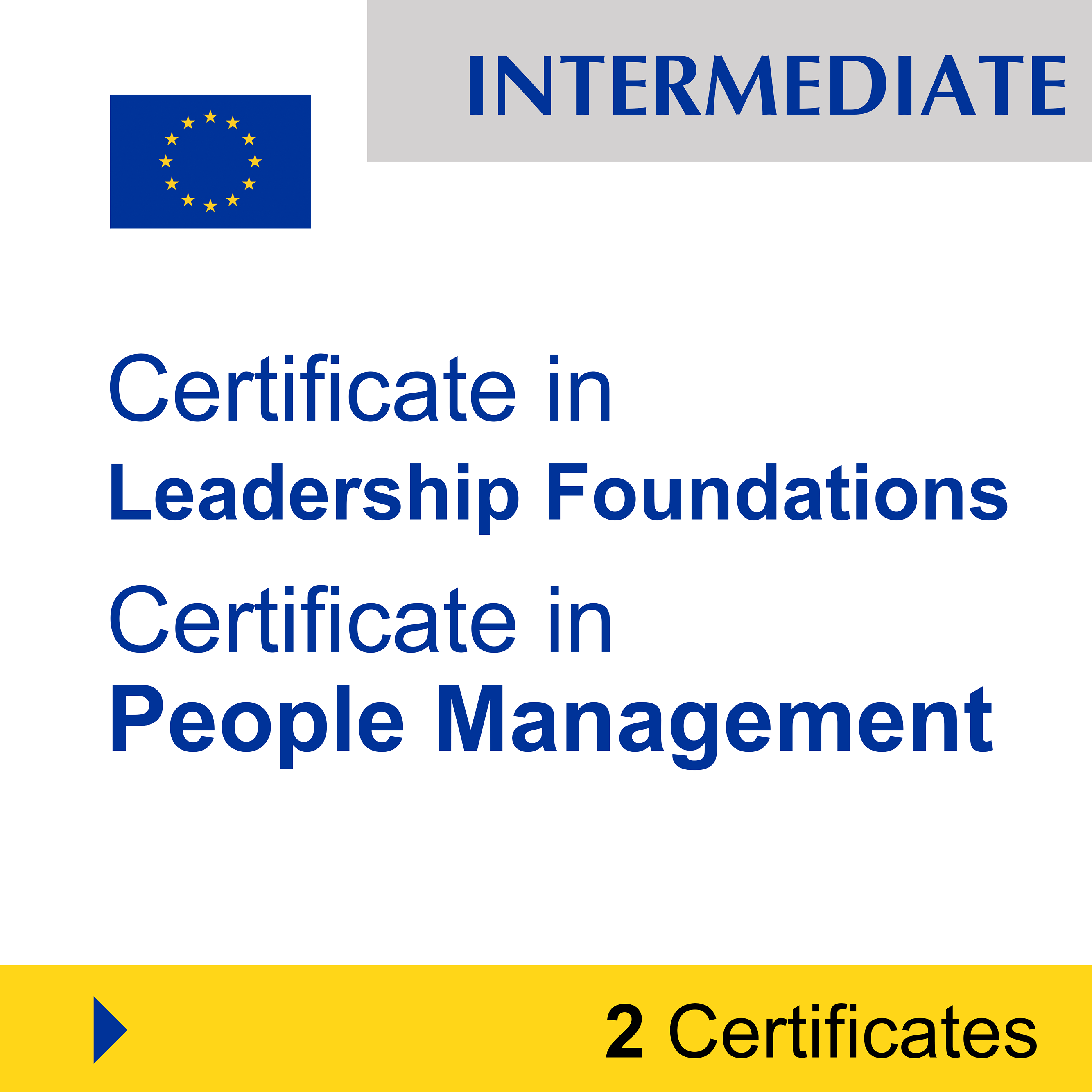 Leadership & Teamwork (2 Certificates) - INTERMEDIATE