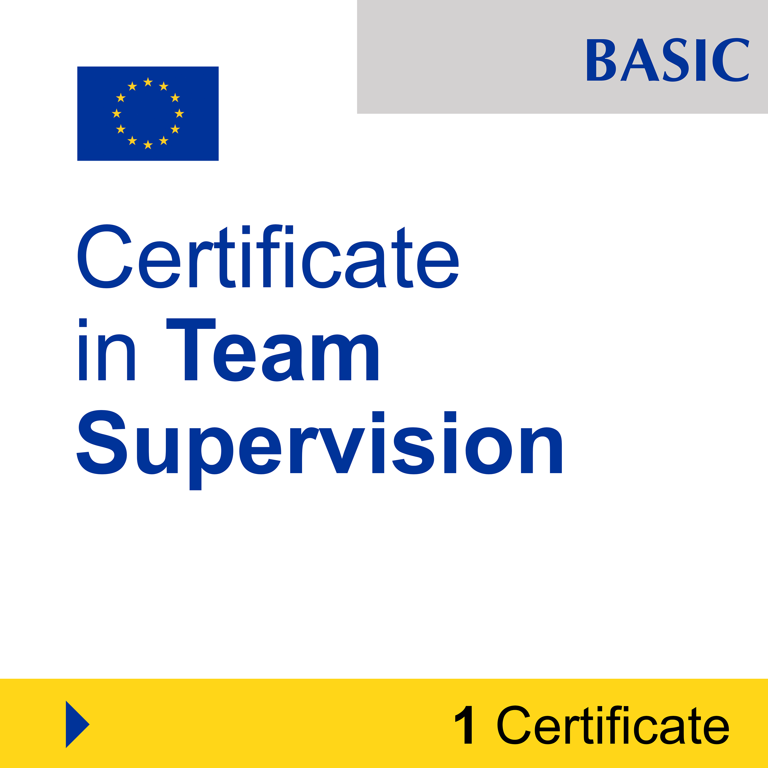 Management (1 Certificate) - BASIC