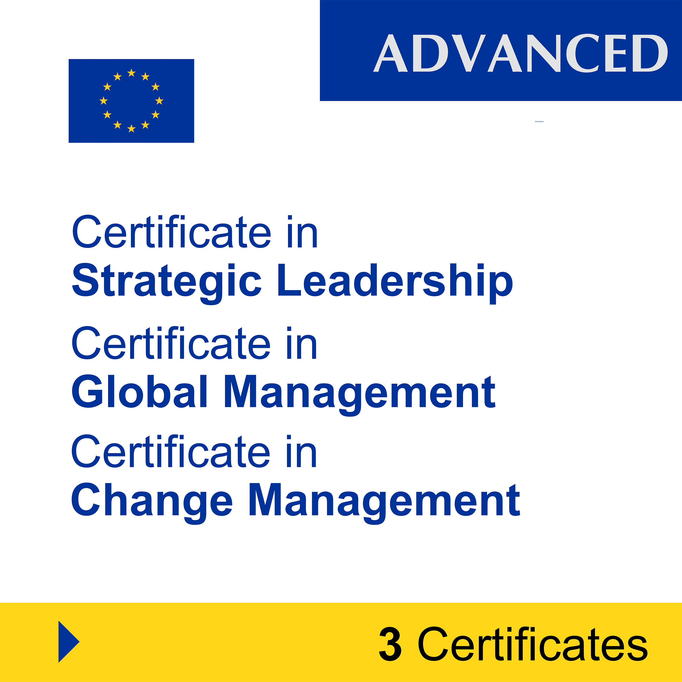 Management (7 Certificates) - FULL BUNDLE