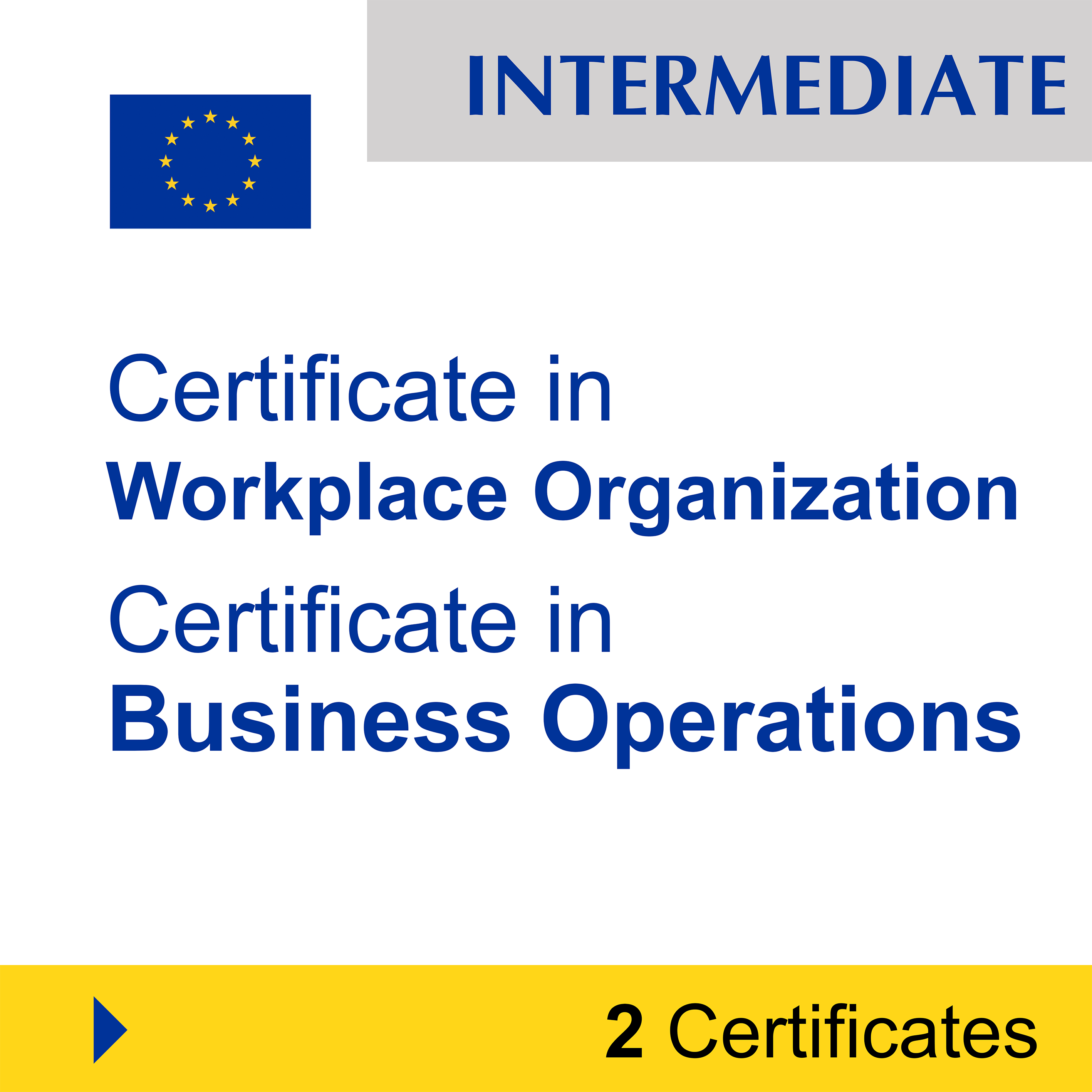 Management (7 Certificates) - FULL BUNDLE
