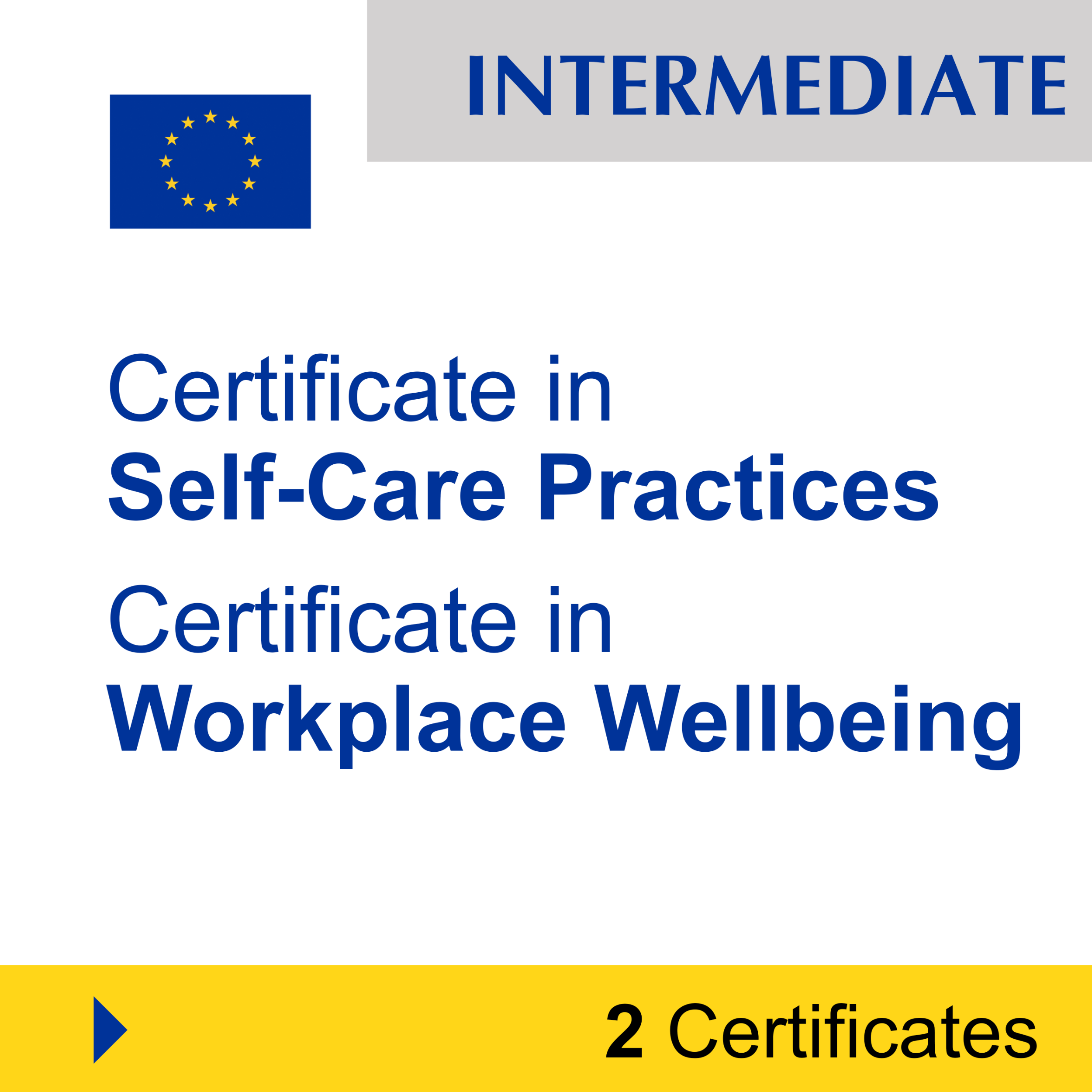 Mental Health (2 Certificates) - INTERMEDIATE