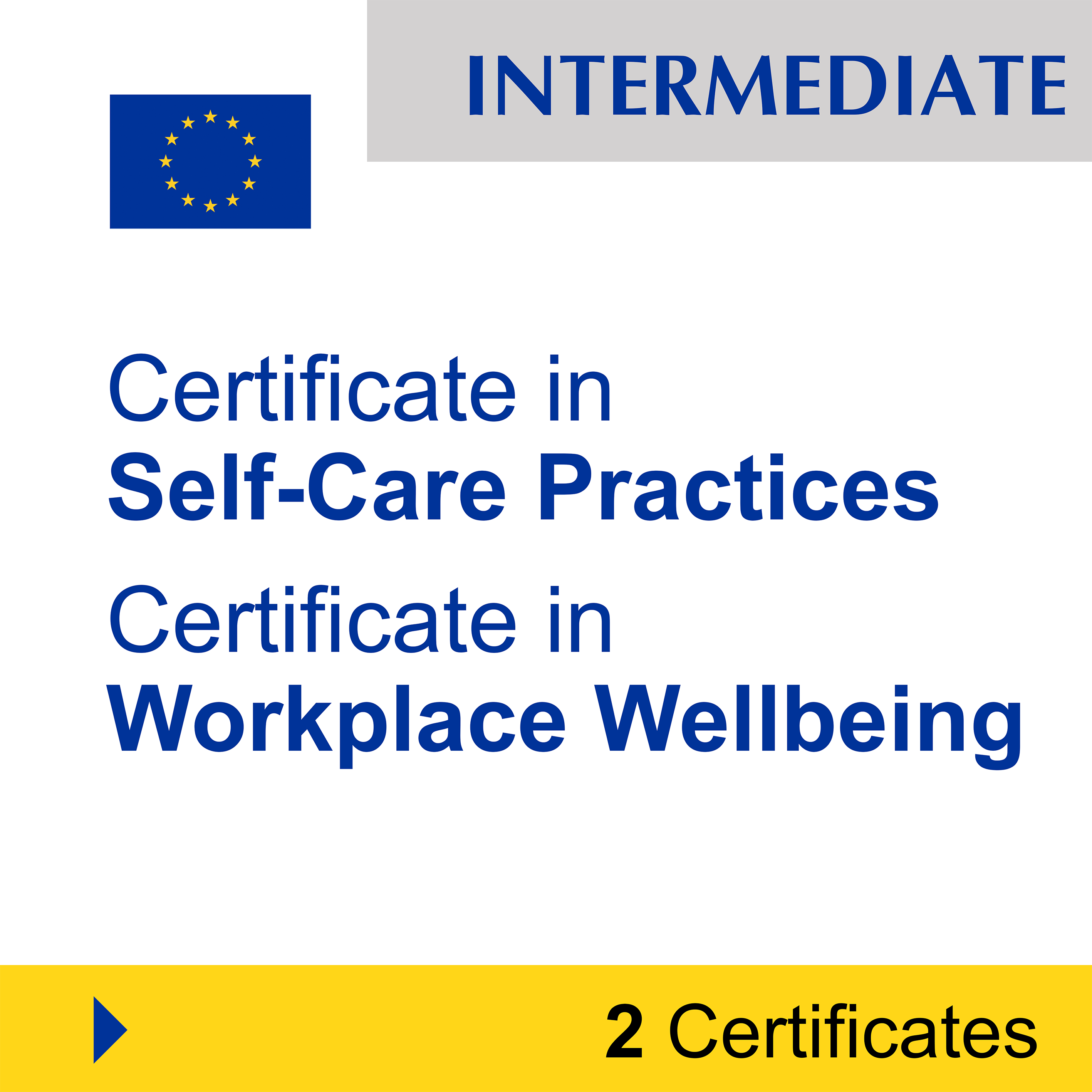 Mental Health (7 Certificates) - FULL BUNDLE