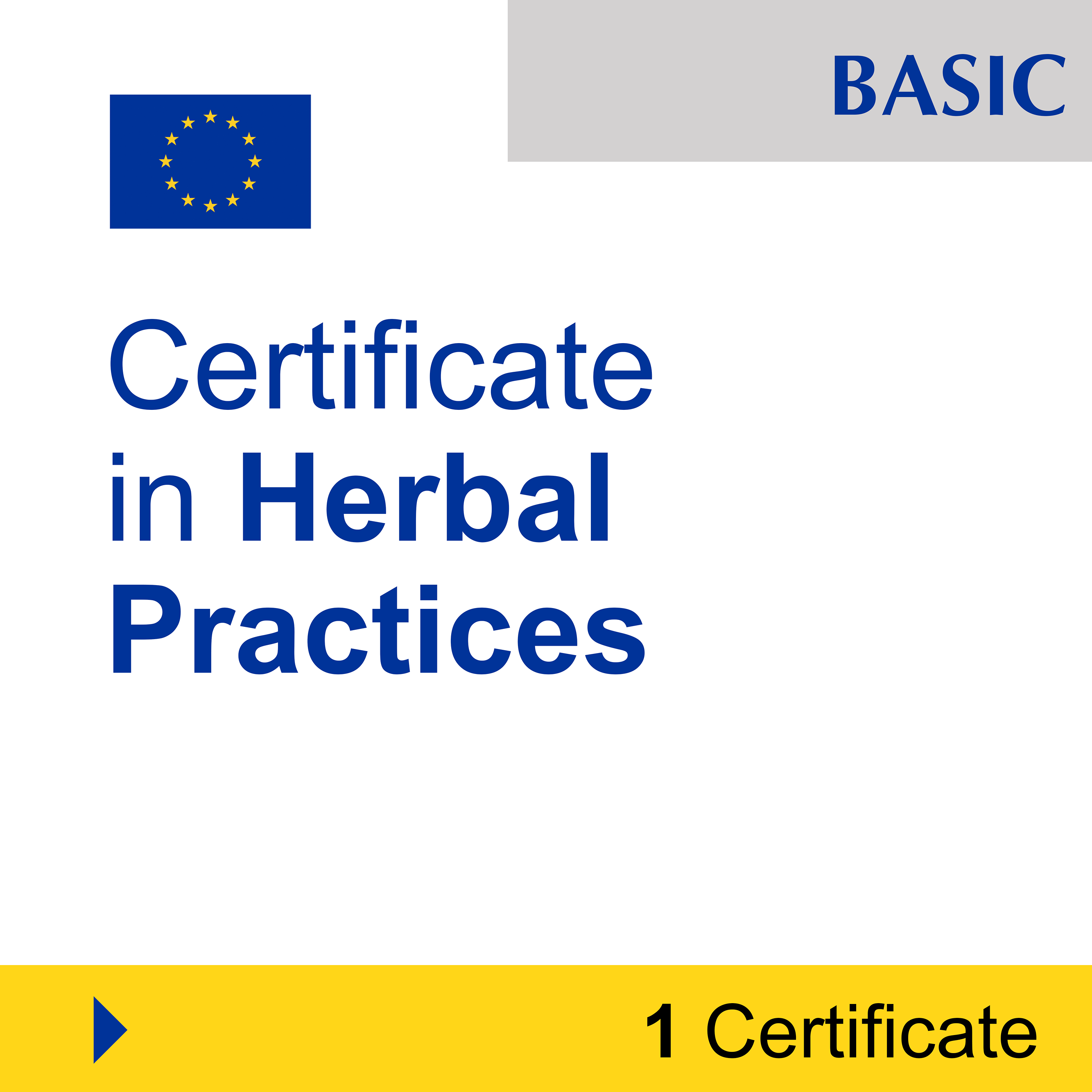 Naturopathy (1 Certificate) - BASIC
