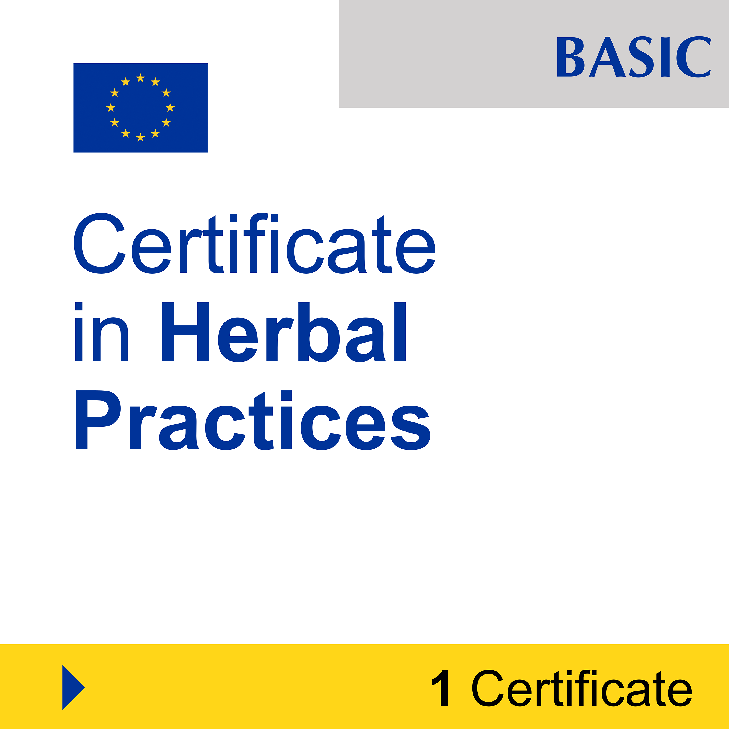 Naturopathy (7 Certificates) - FULL BUNDLE