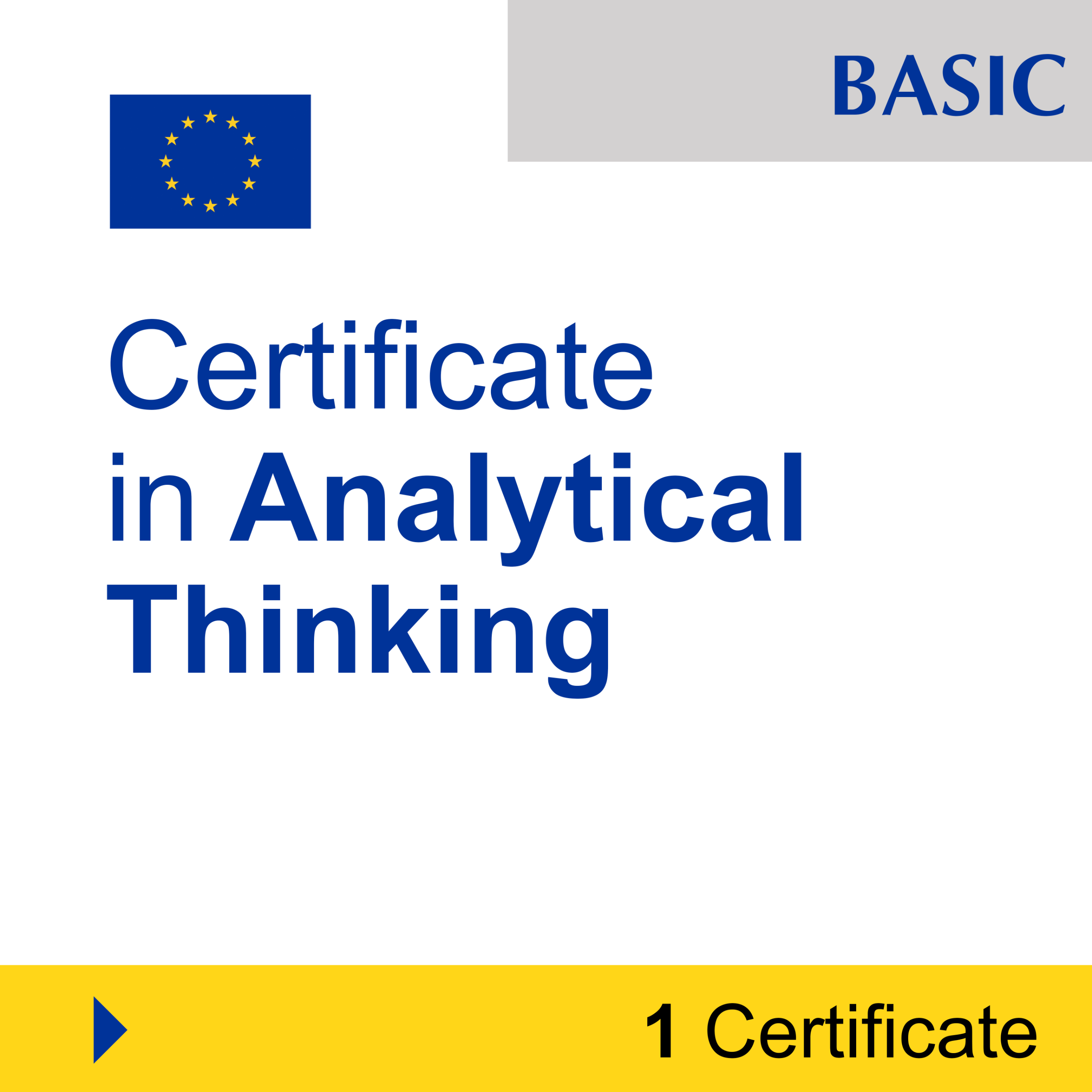 Problem-Solving & Critical Thinking (1 Certificate) - BASIC