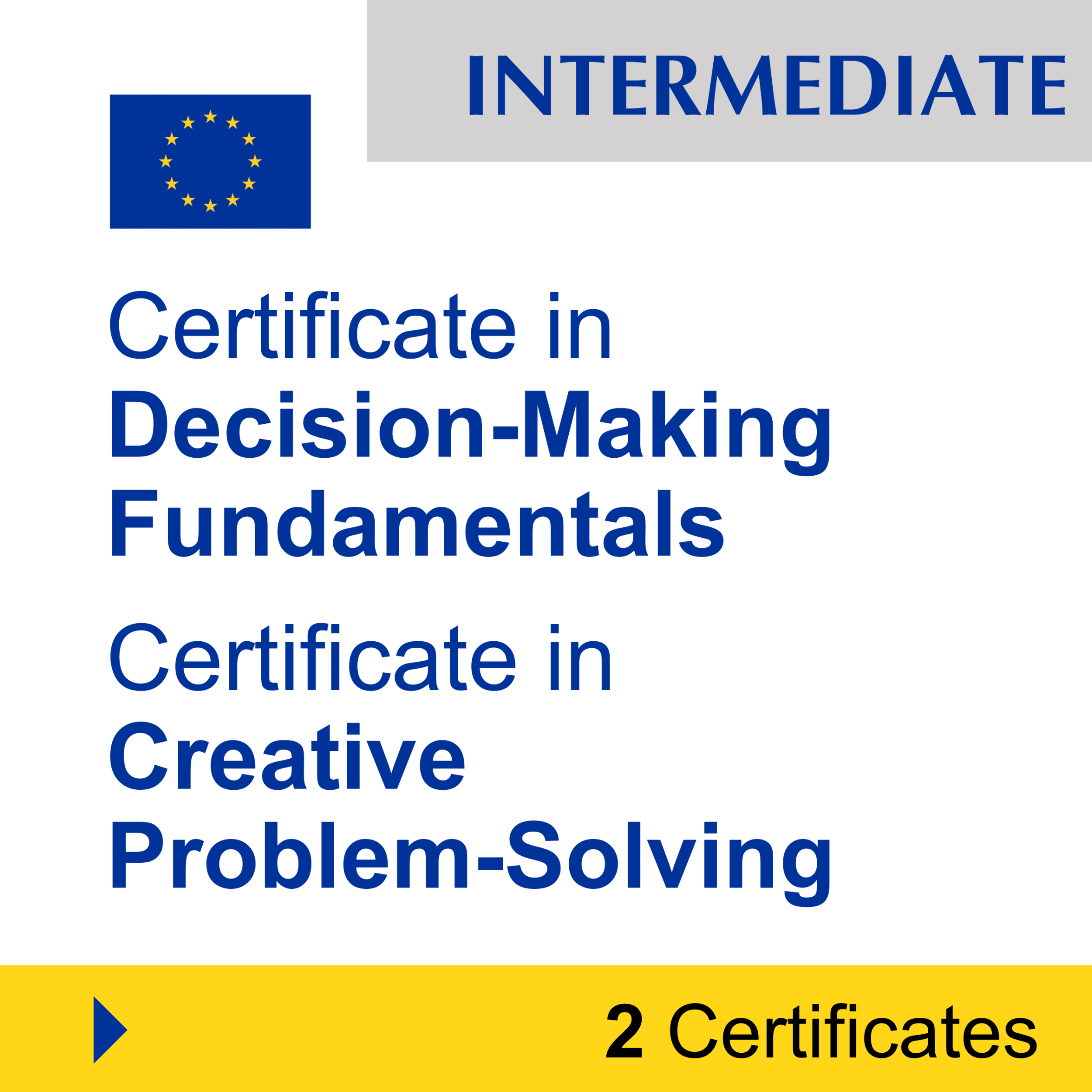 Problem-Solving & Critical Thinking (2 Certificates) - INTERMEDIATE
