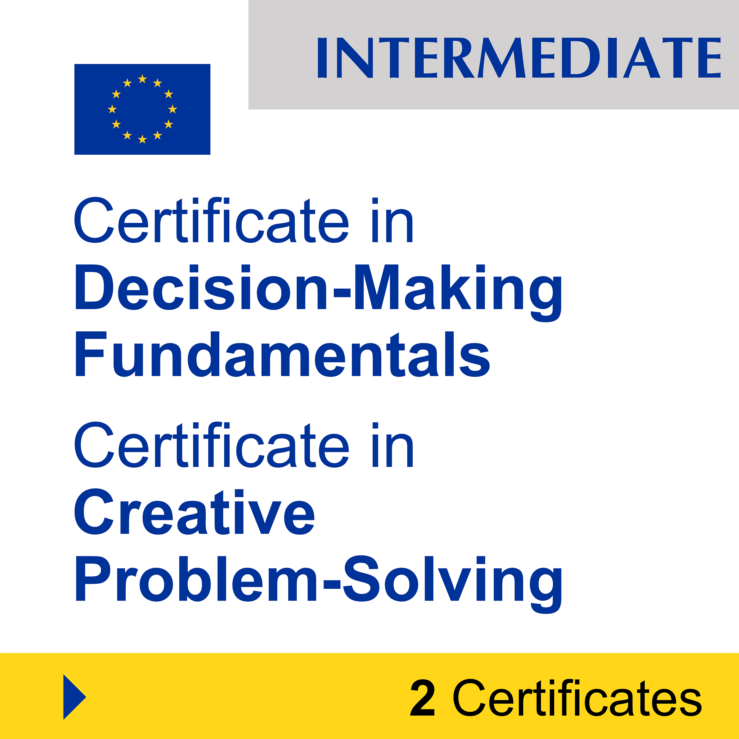 Problem-Solving & Critical Thinking (7 Certificates) - FULL BUNDLE
