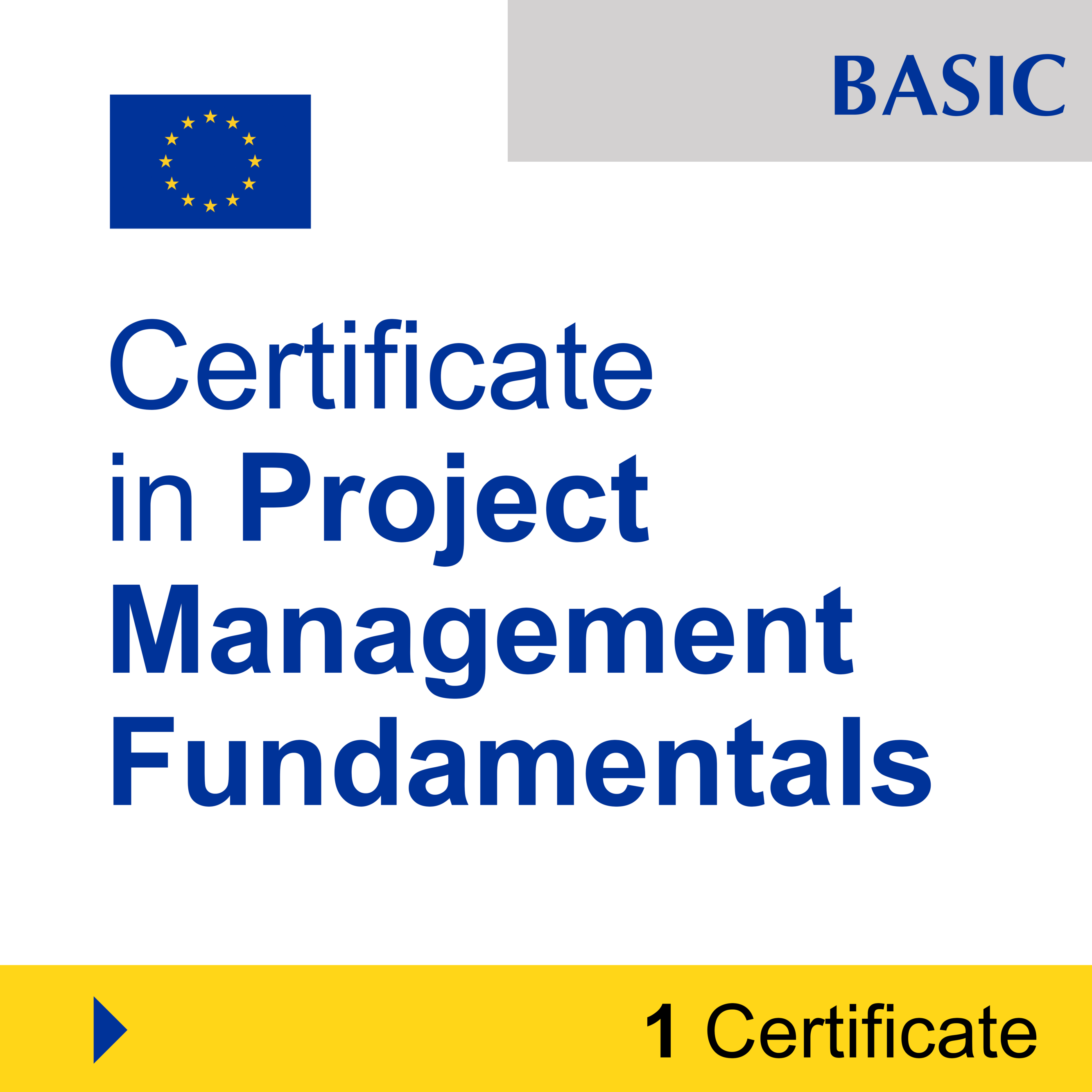 Project Management (1 Certificate) - BASIC