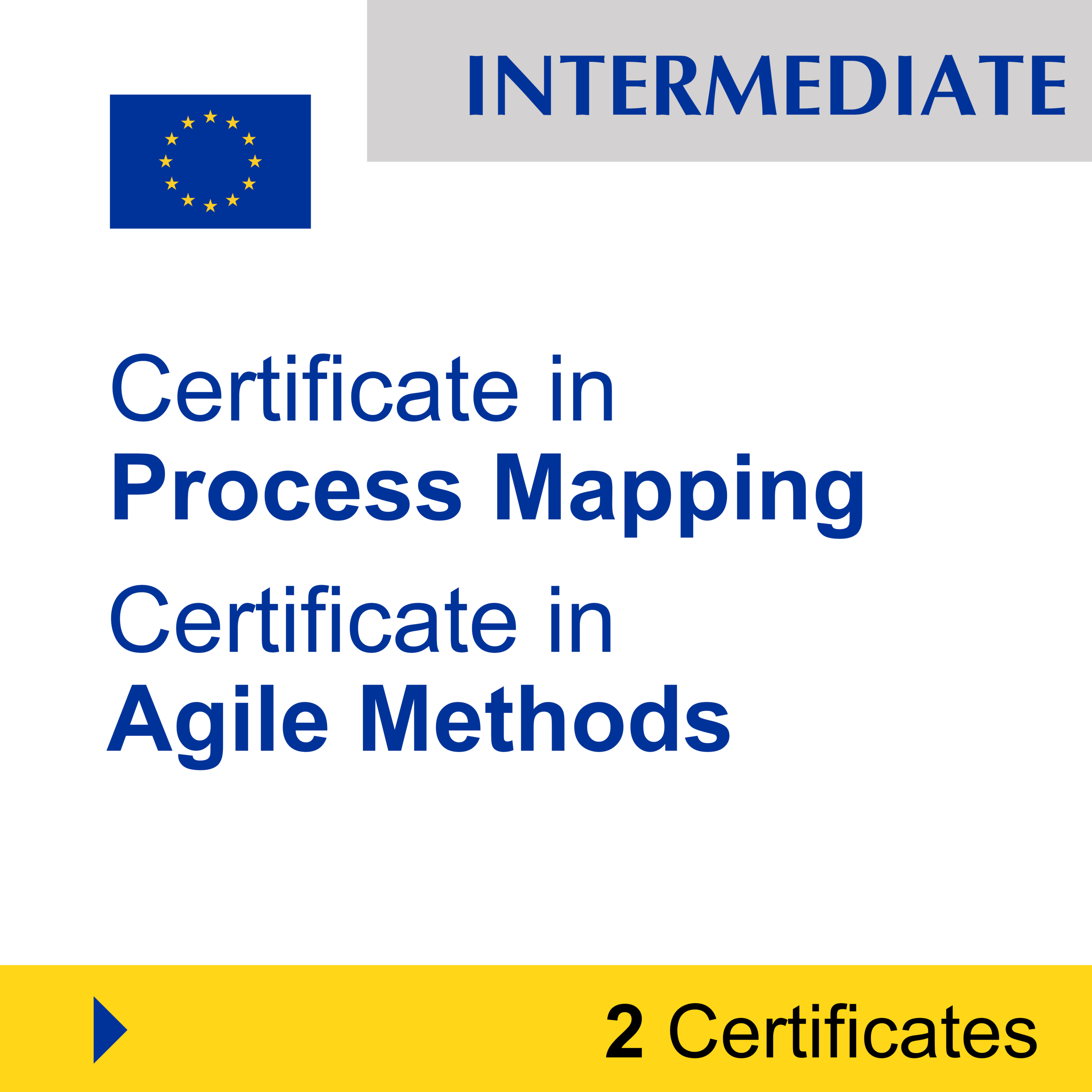 Project Management (2 Certificates) - INTERMEDIATE