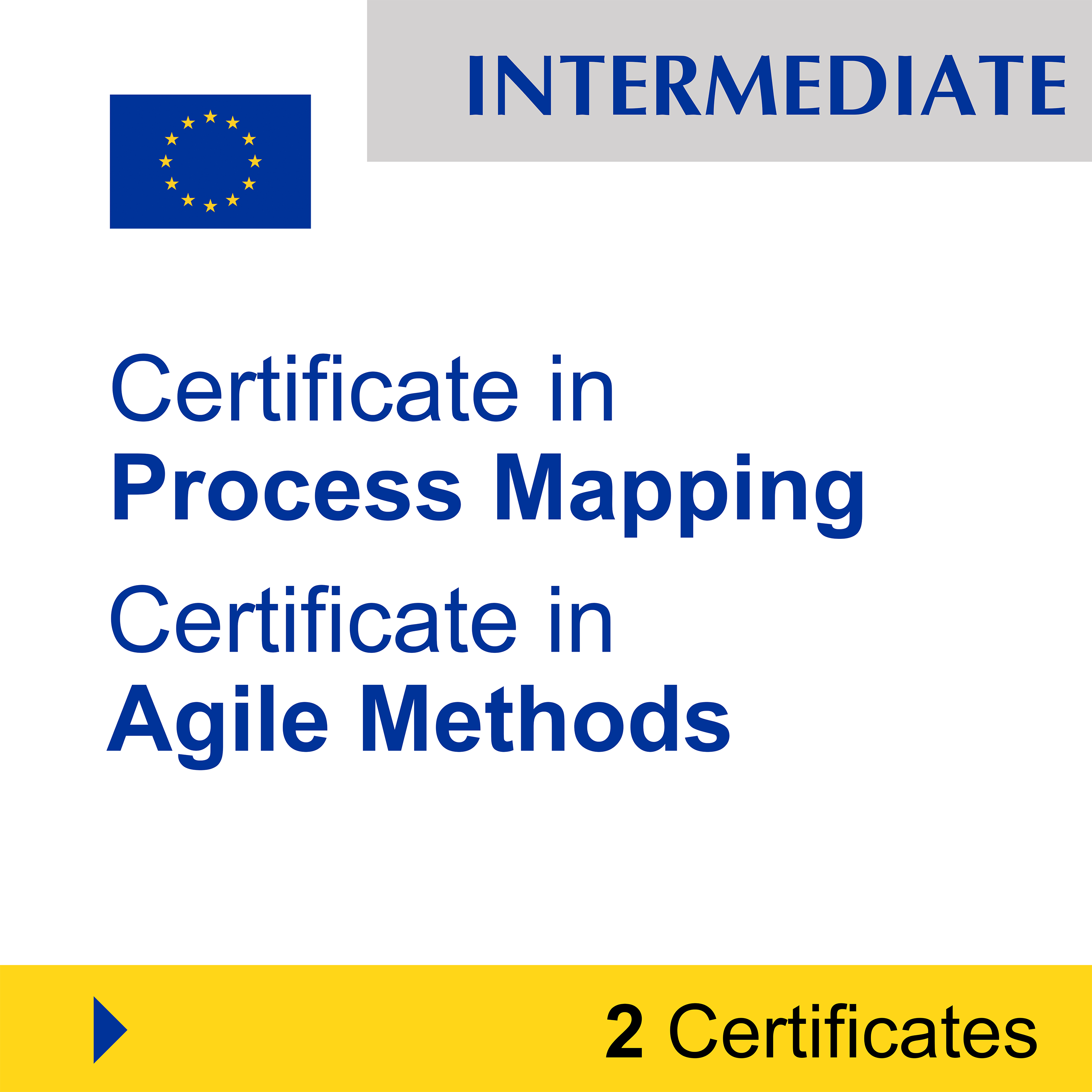 Project Management (7 Certificates) - FULL BUNDLE